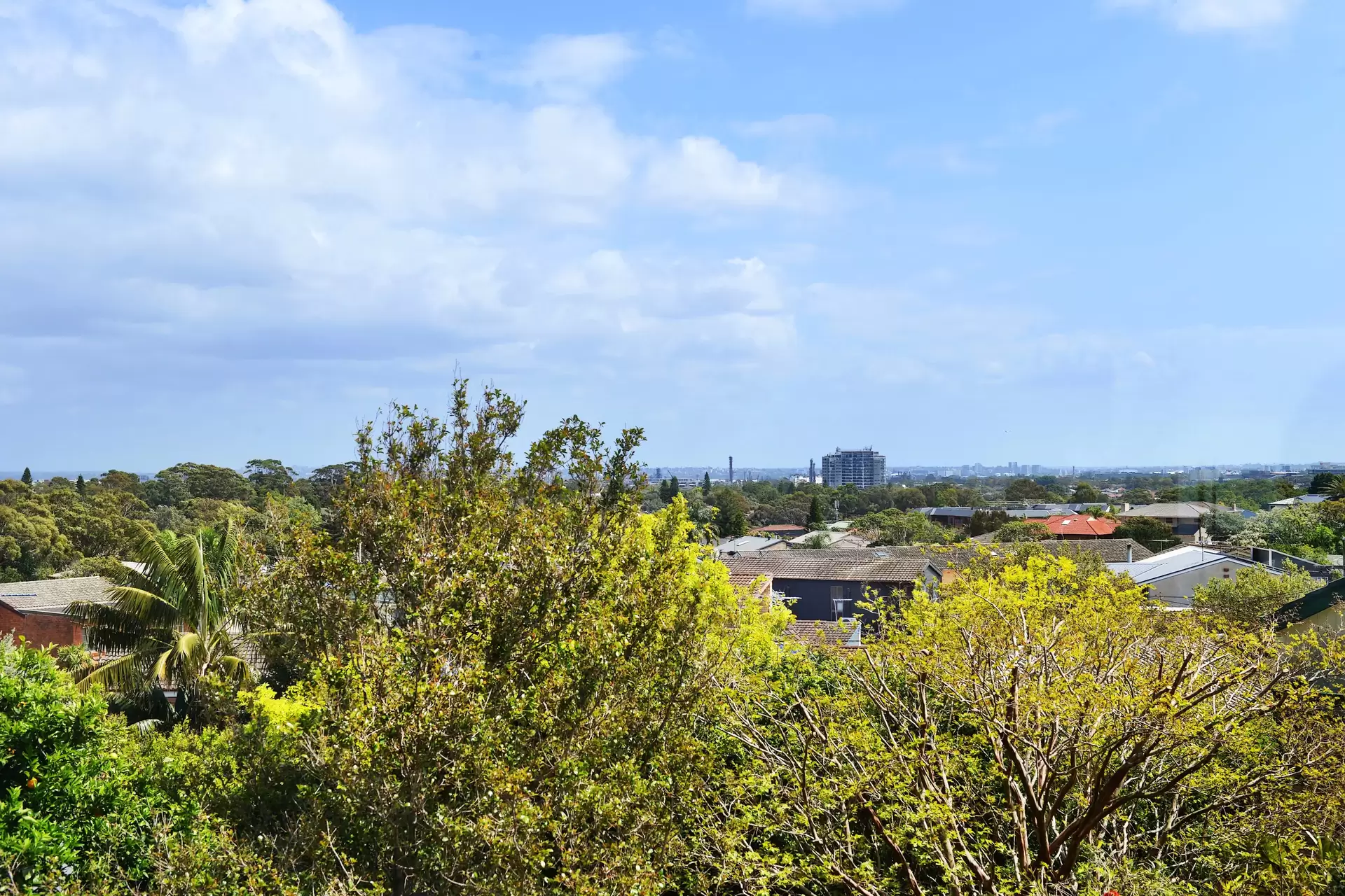 122  Broome Street, Maroubra Sold by Sydney Sotheby's International Realty - image 11