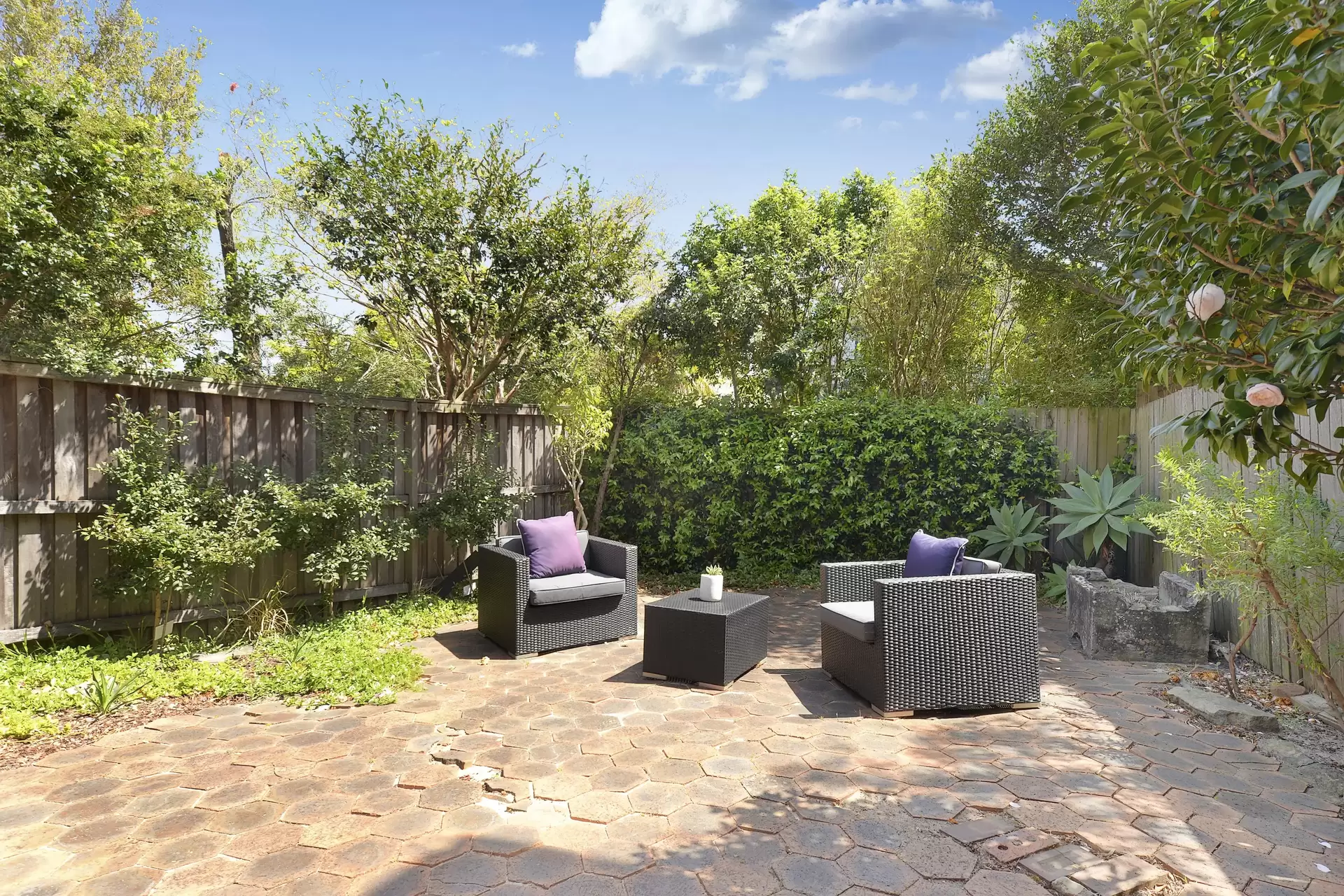 122  Broome Street, Maroubra Sold by Sydney Sotheby's International Realty - image 10