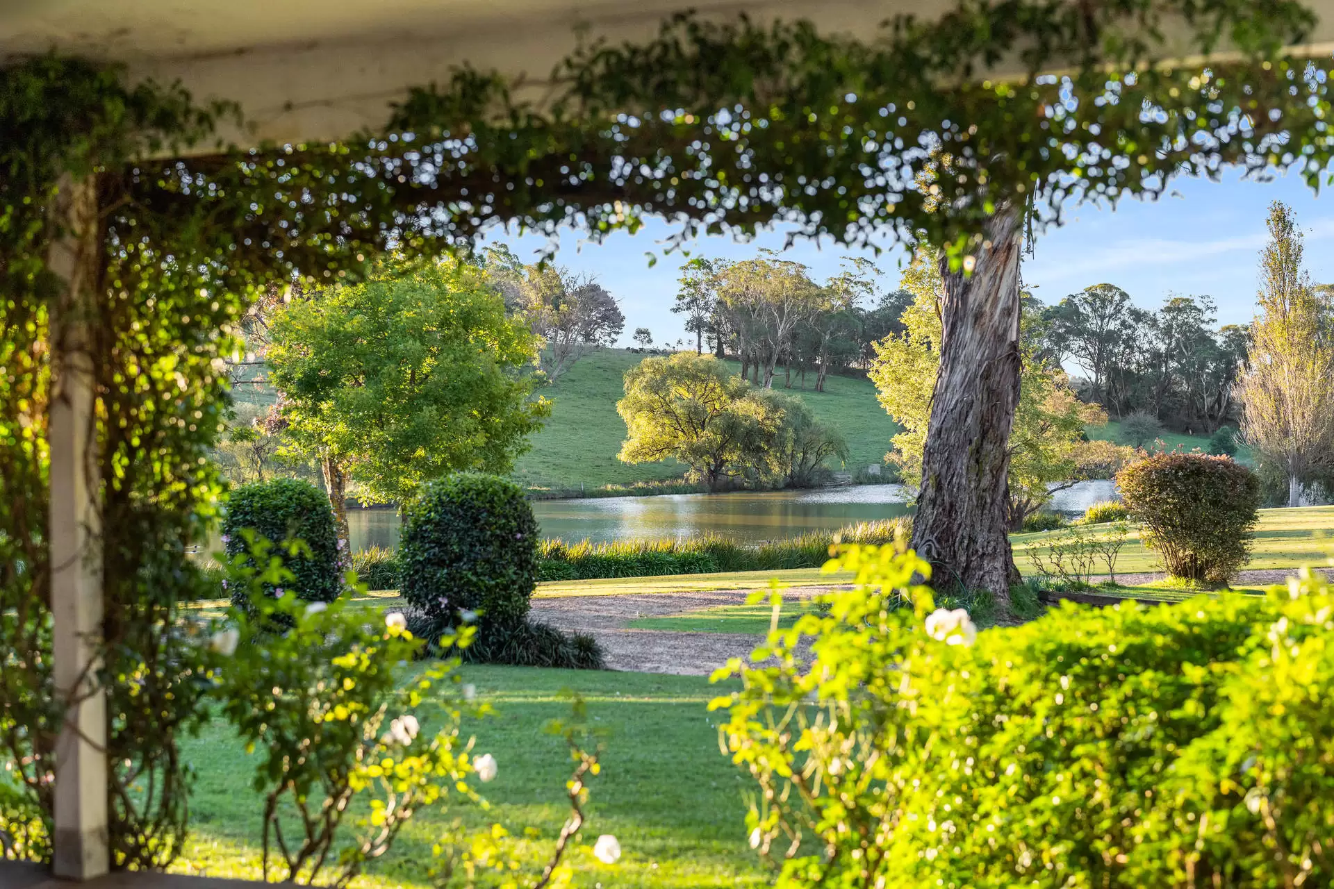 271 Woodlands Road, Woodlands Sold by Sydney Sotheby's International Realty - image 5