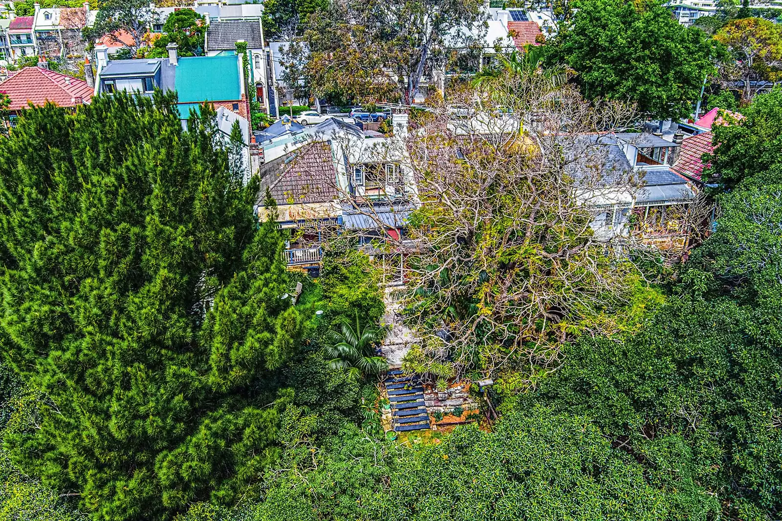 7 Albert Street, Forest Lodge Sold by Sydney Sotheby's International Realty - image 20