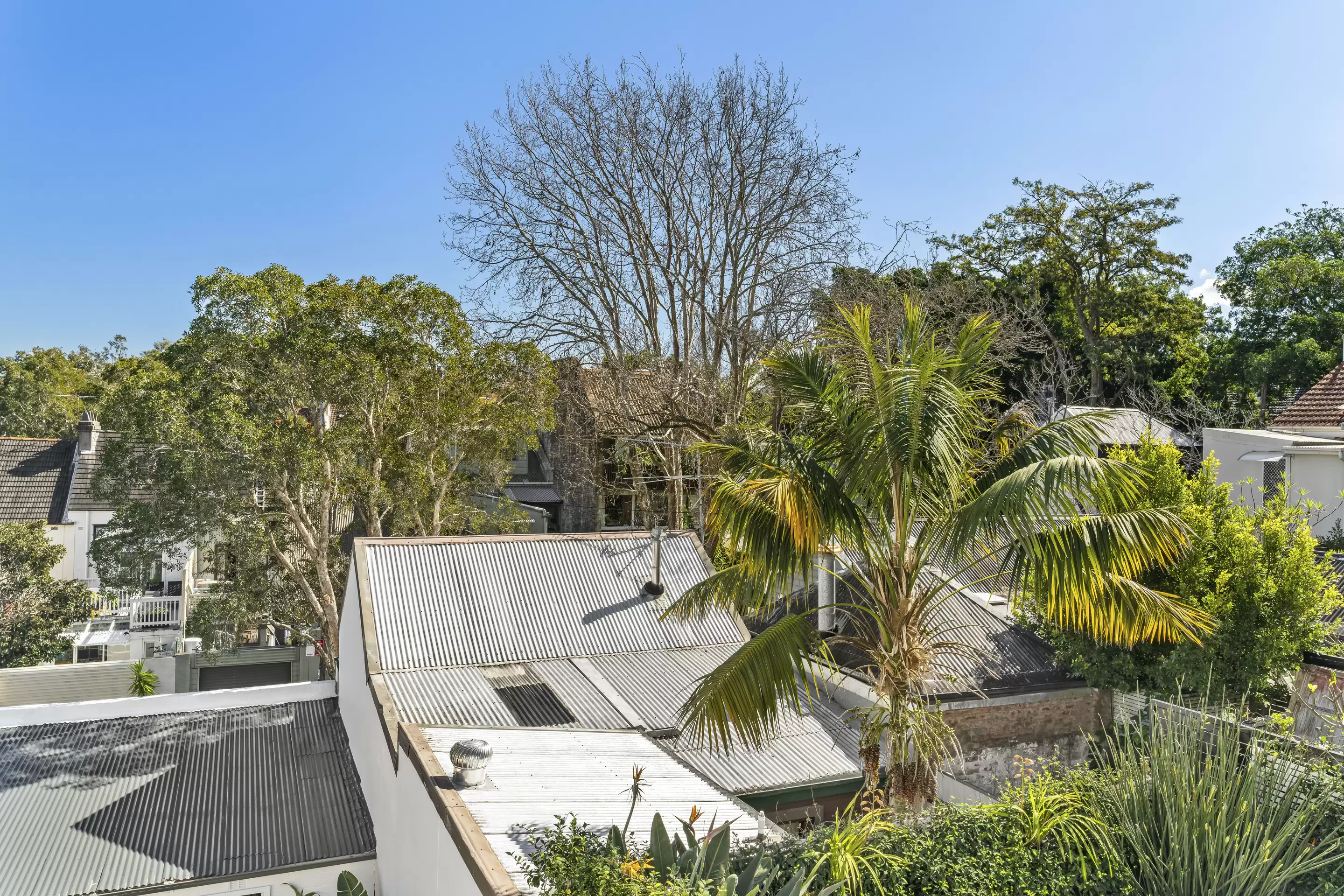 11 Walter Street, Paddington Sold by Sydney Sotheby's International Realty - image 15