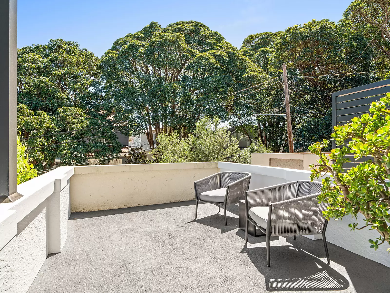3 Buller Street, Bellevue Hill For Sale by Sydney Sotheby's International Realty - image 18