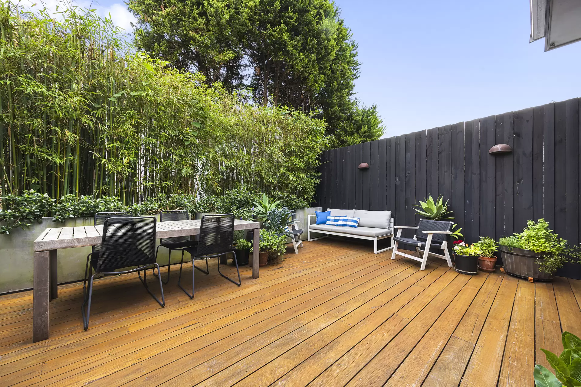 18 Boundary Street, Bronte Sold by Sydney Sotheby's International Realty - image 7