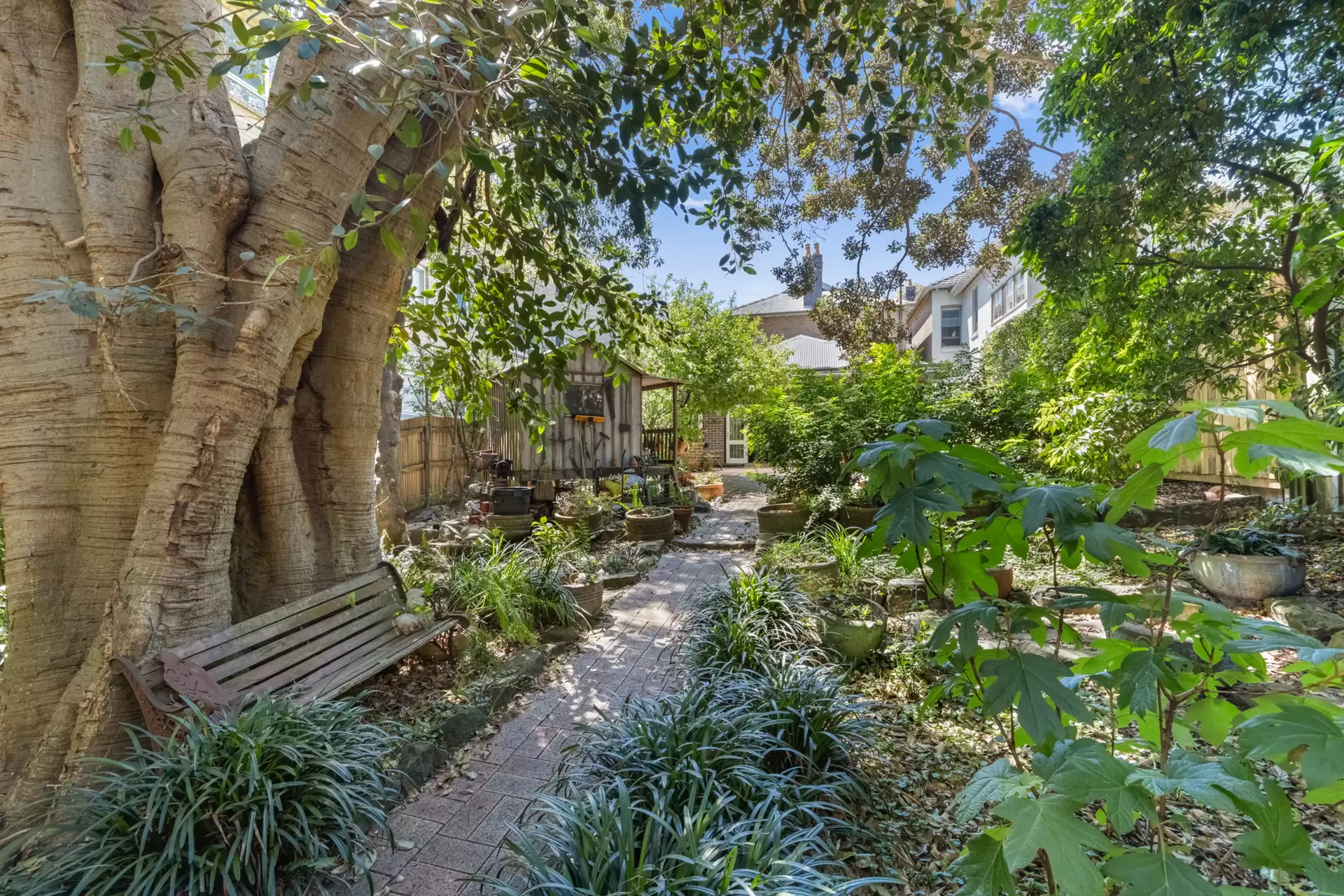 32 Cowper Street, Randwick Sold by Sydney Sotheby's International Realty - image 10