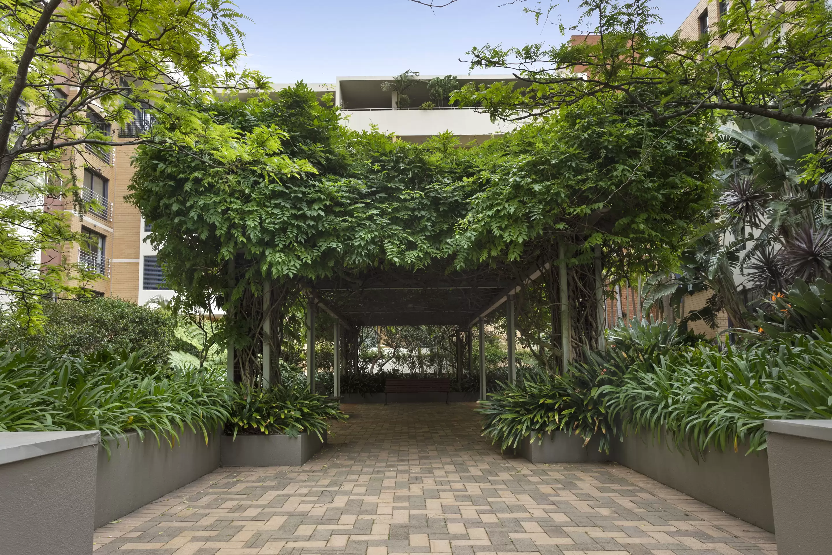 G318/780 Bourke Street, Redfern Sold by Sydney Sotheby's International Realty - image 18