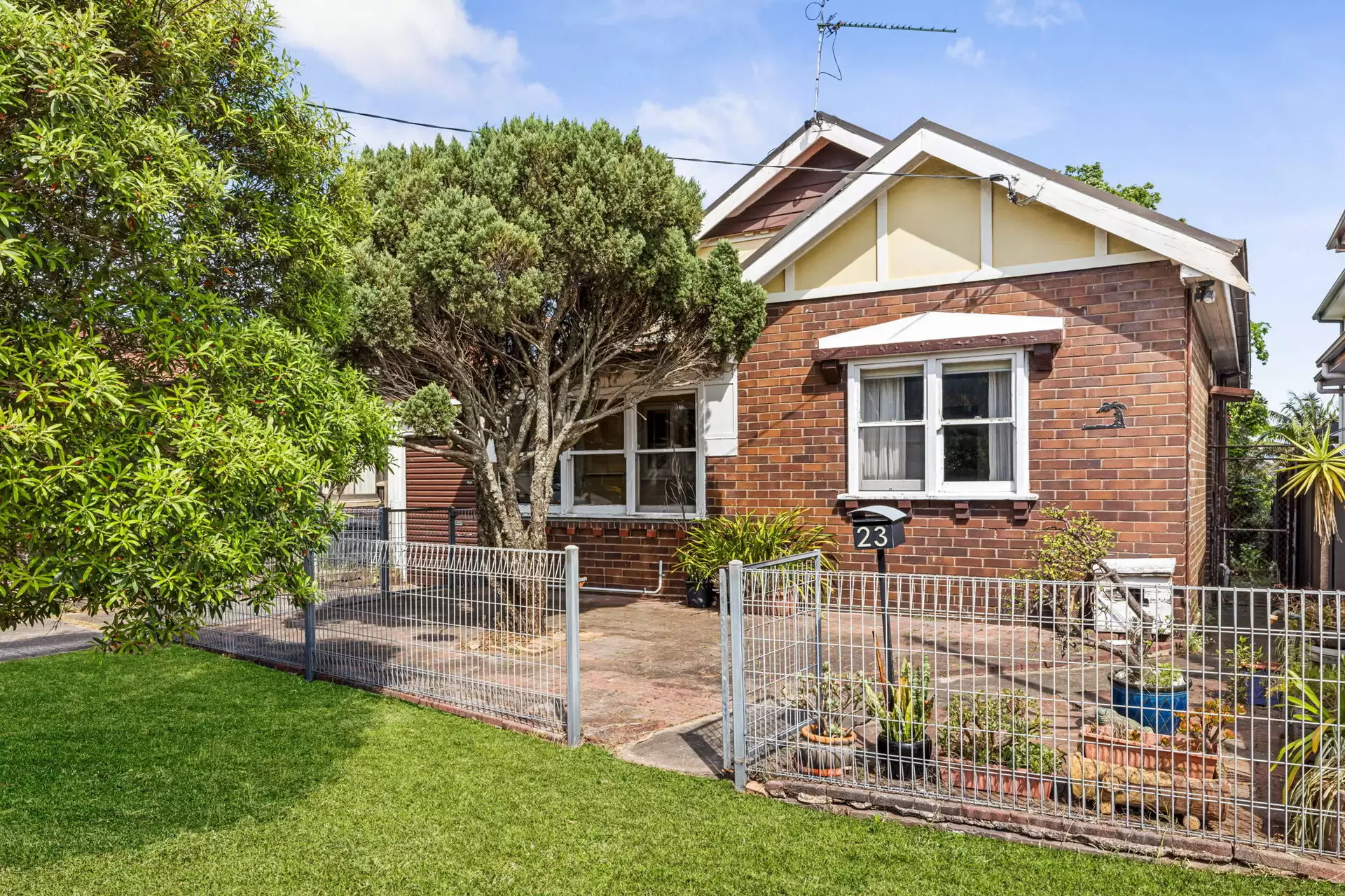 23 Haig Street, Maroubra Sold by Sydney Sotheby's International Realty - image 3
