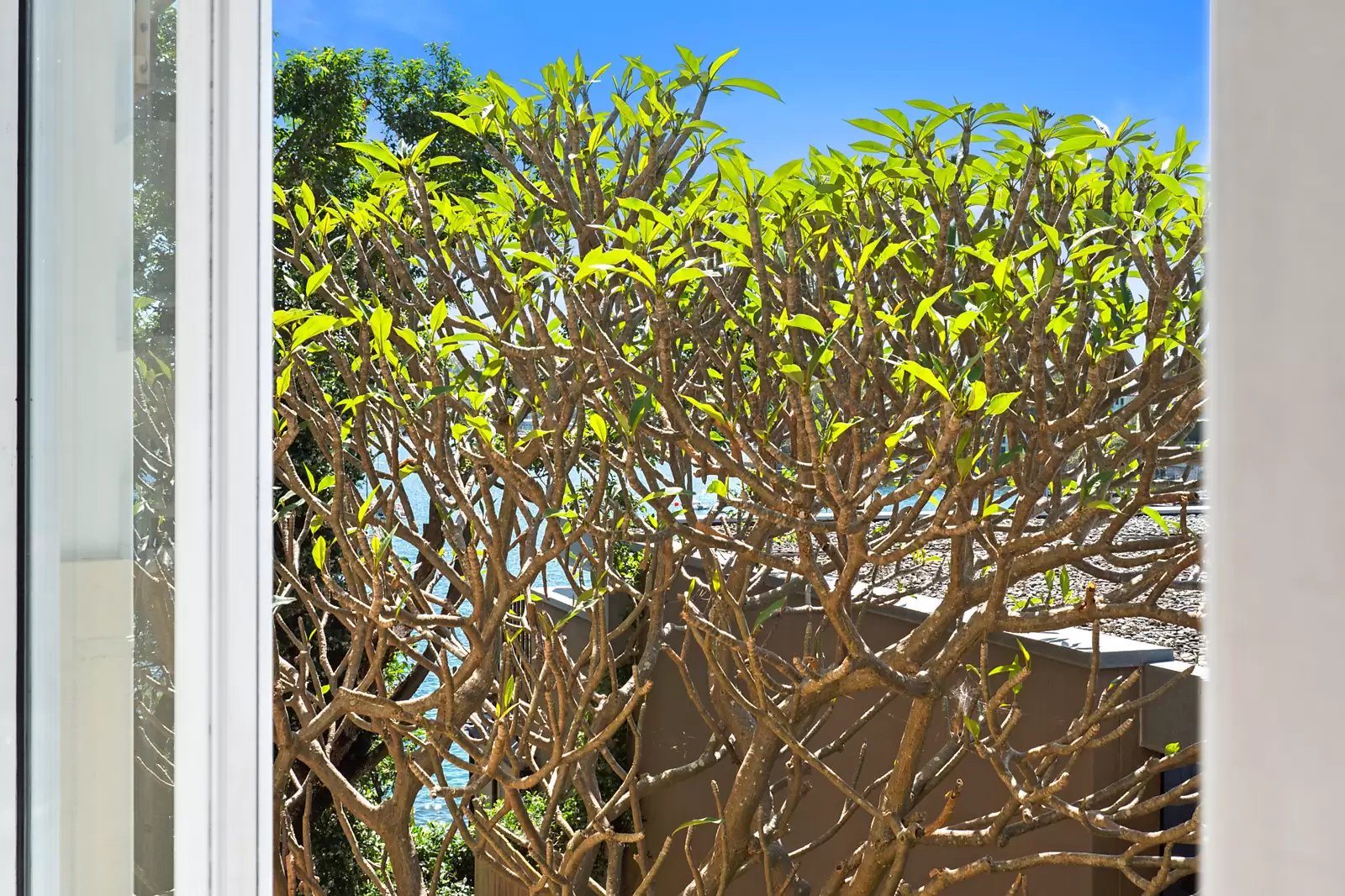 4/77 Fitzwilliam Road, Vaucluse Sold by Sydney Sotheby's International Realty - image 13