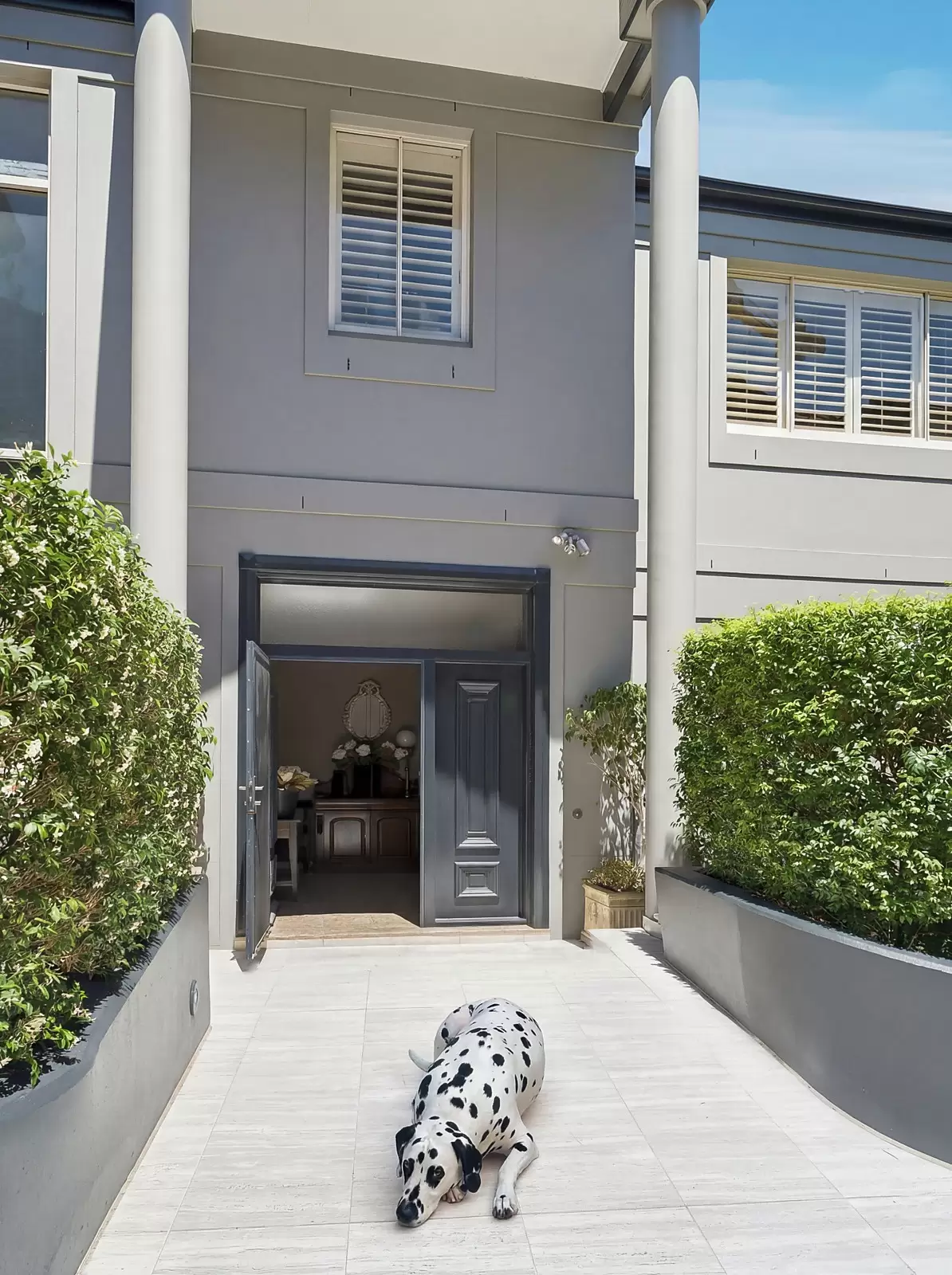 1/17A Cooper Park Road, Bellevue Hill For Sale by Sydney Sotheby's International Realty - image 7