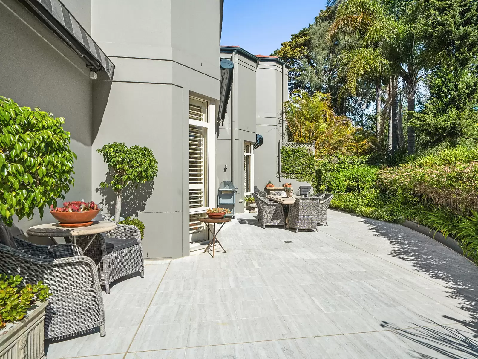 1/17A Cooper Park Road, Bellevue Hill For Sale by Sydney Sotheby's International Realty - image 6