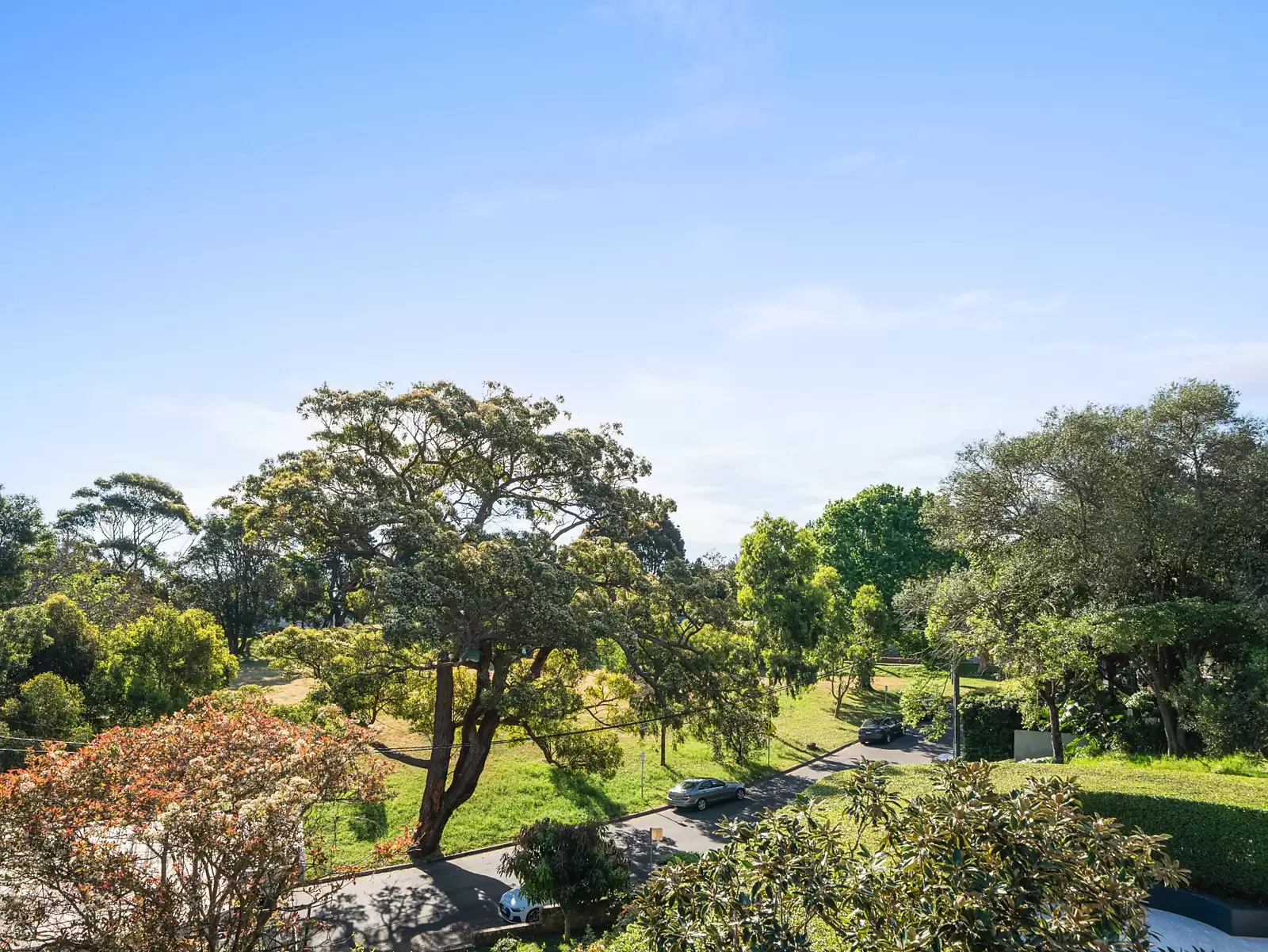1/17A Cooper Park Road, Bellevue Hill For Sale by Sydney Sotheby's International Realty - image 3
