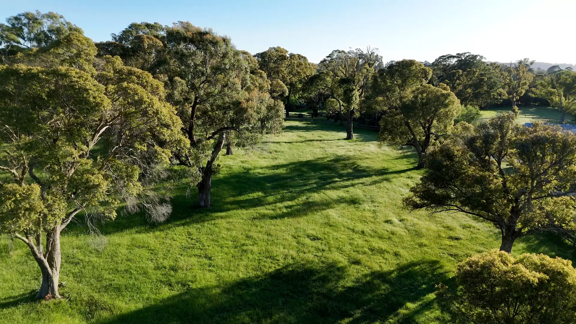 35 Elizabeth Street, Burradoo Sold by Sydney Sotheby's International Realty - image 27