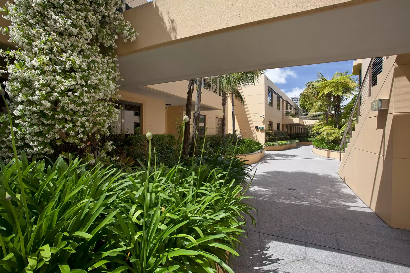 Residence 31 Marina Berth 20, 10 Lincoln Crescent, Woolloomooloo Sold by Sydney Sotheby's International Realty - image 9