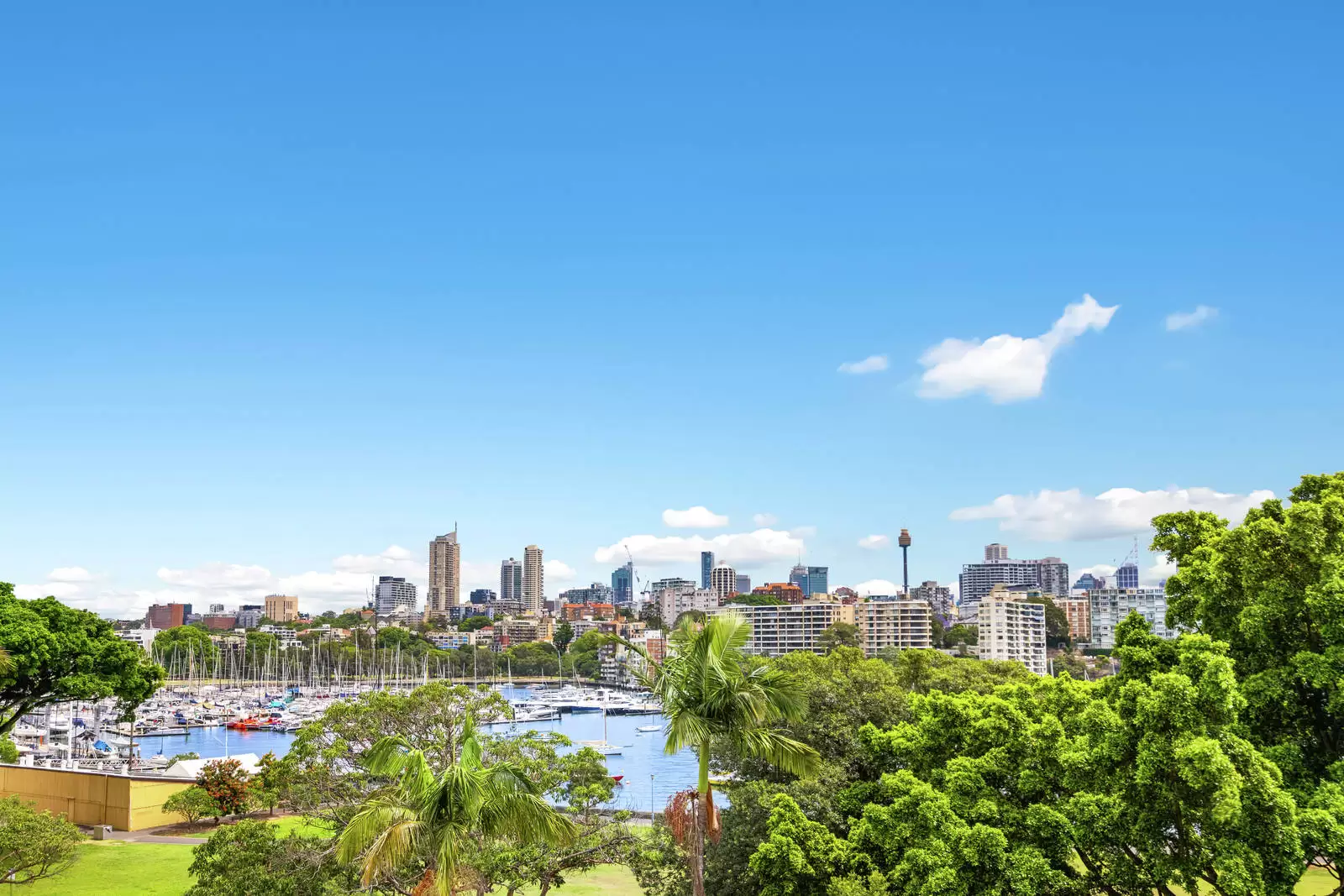 25B Yarranabbe Road, Darling Point Leased by Sydney Sotheby's International Realty - image 3