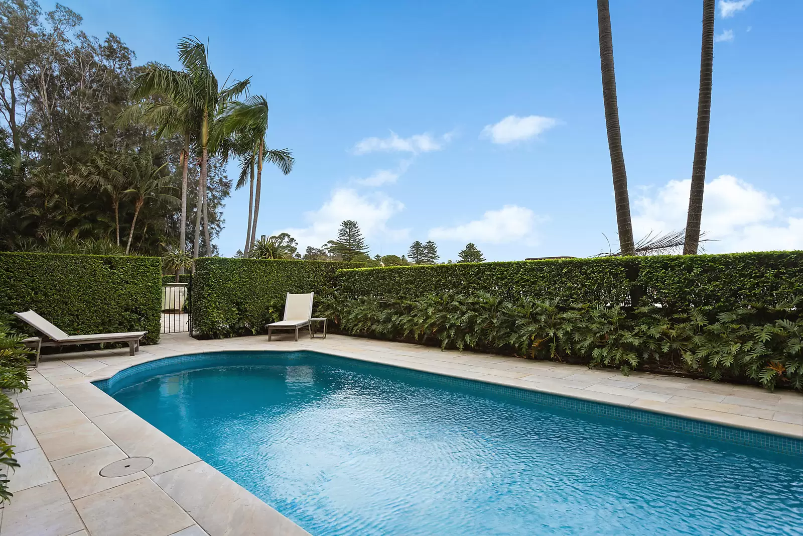 6/614-622 New South Head Road, Rose Bay Sold by Sydney Sotheby's International Realty - image 12