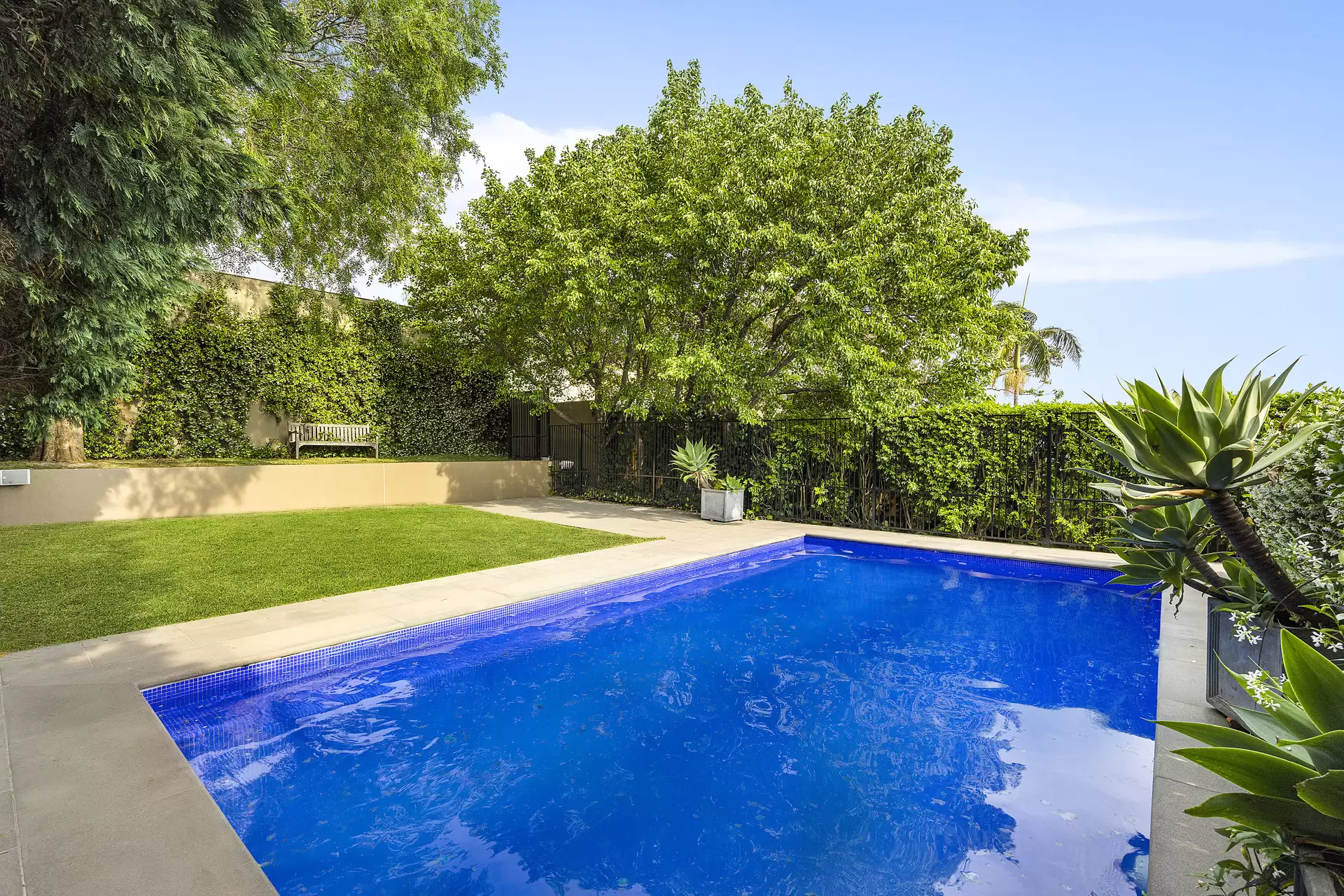65 Brook Street, Coogee Sold by Sydney Sotheby's International Realty - image 2