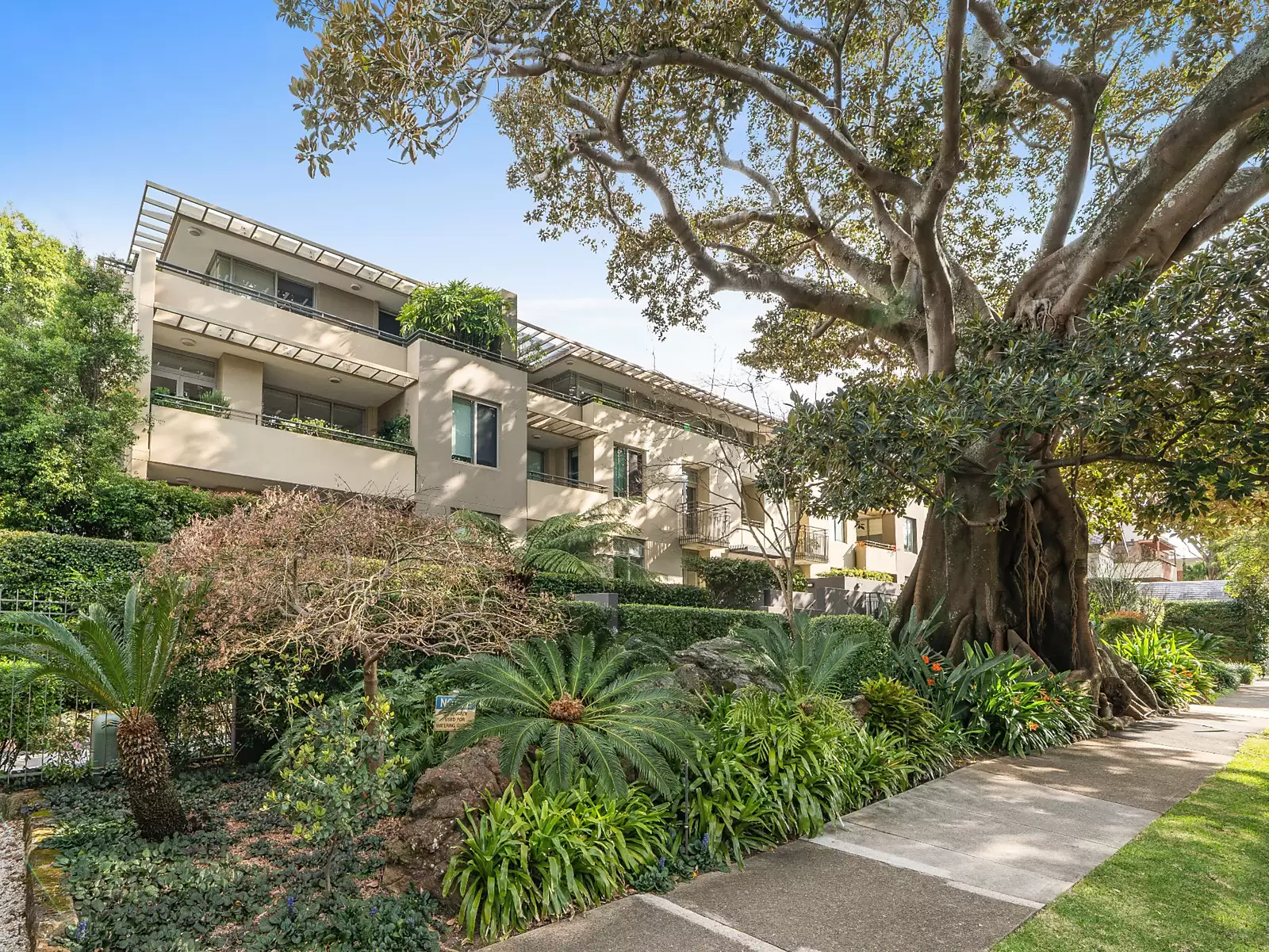 13/51 William Street, Double Bay Sold by Sydney Sotheby's International Realty - image 21
