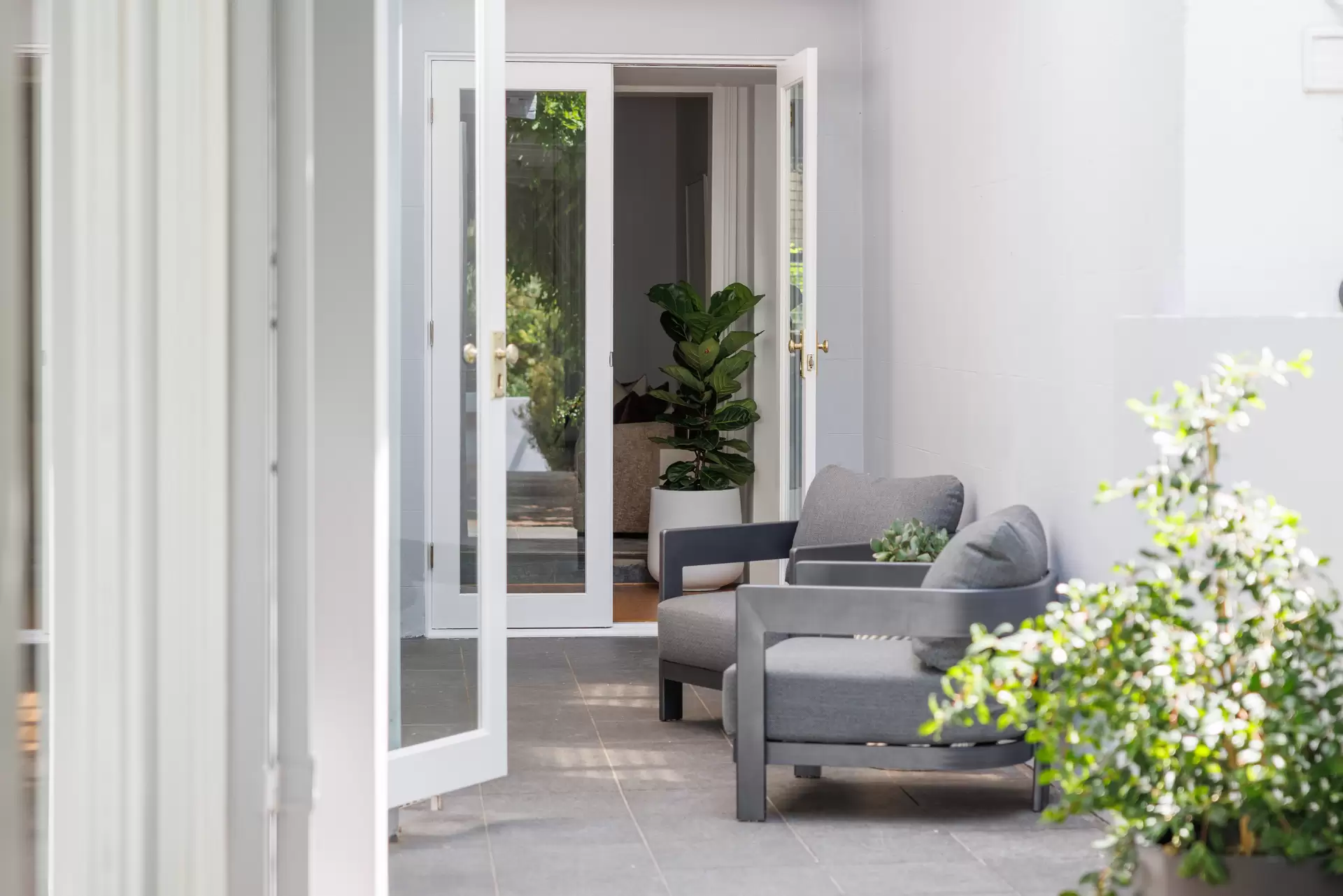59 Cambridge Street, Paddington Sold by Sydney Sotheby's International Realty - image 1