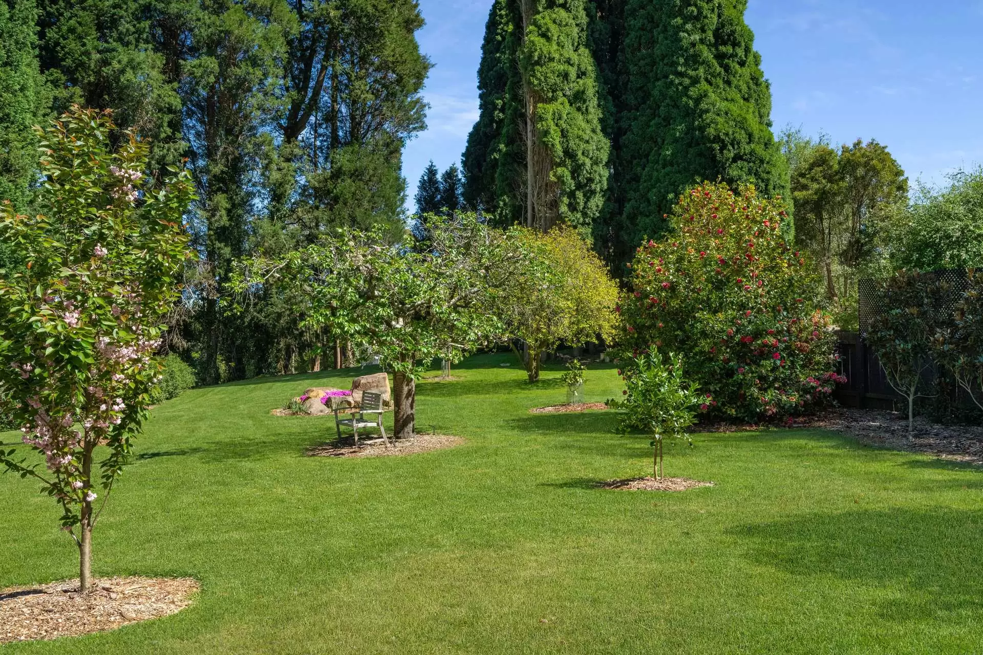 16 Cliff Street, Bowral Sold by Sydney Sotheby's International Realty - image 9