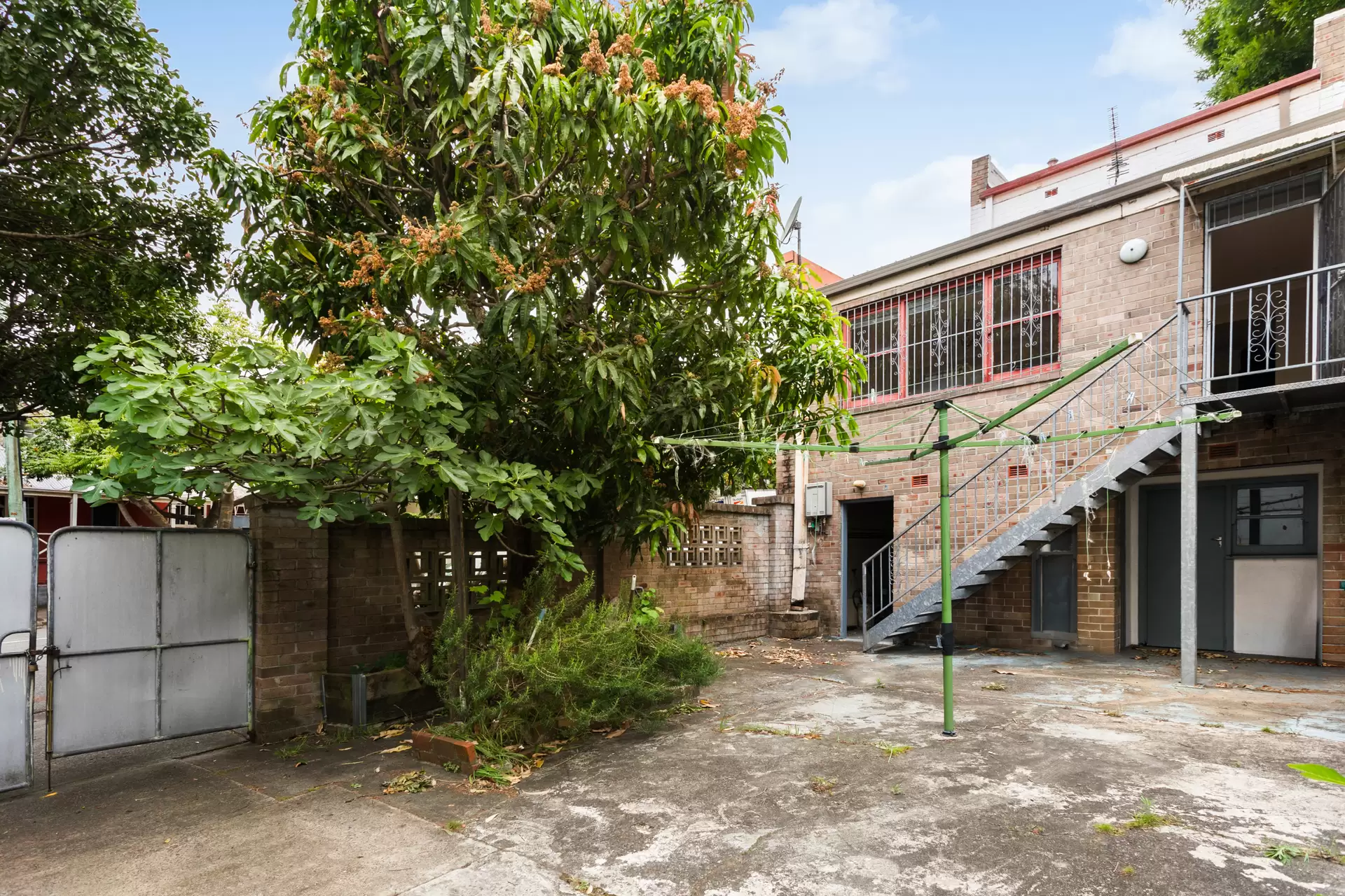 8 Campbell Avenue, Paddington Sold by Sydney Sotheby's International Realty - image 1