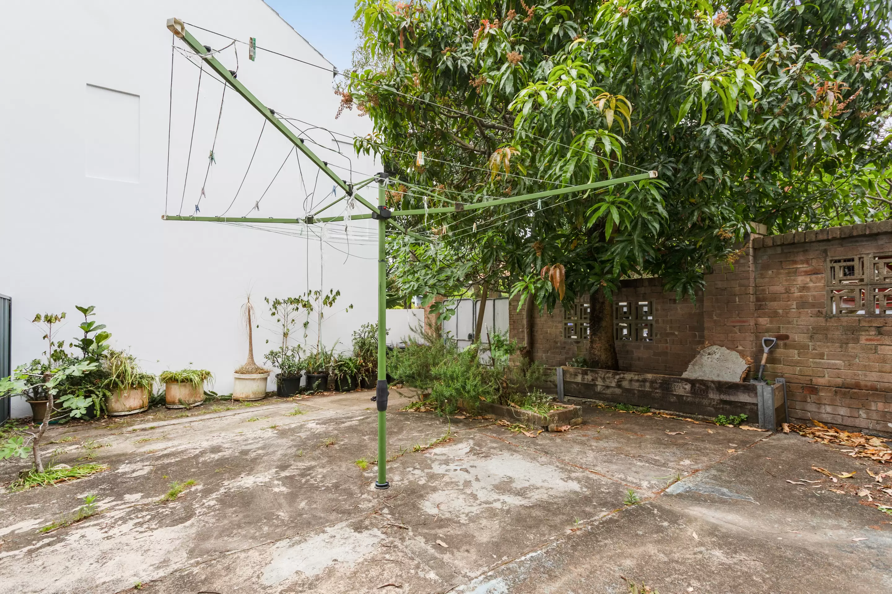 8 Campbell Avenue, Paddington Sold by Sydney Sotheby's International Realty - image 3