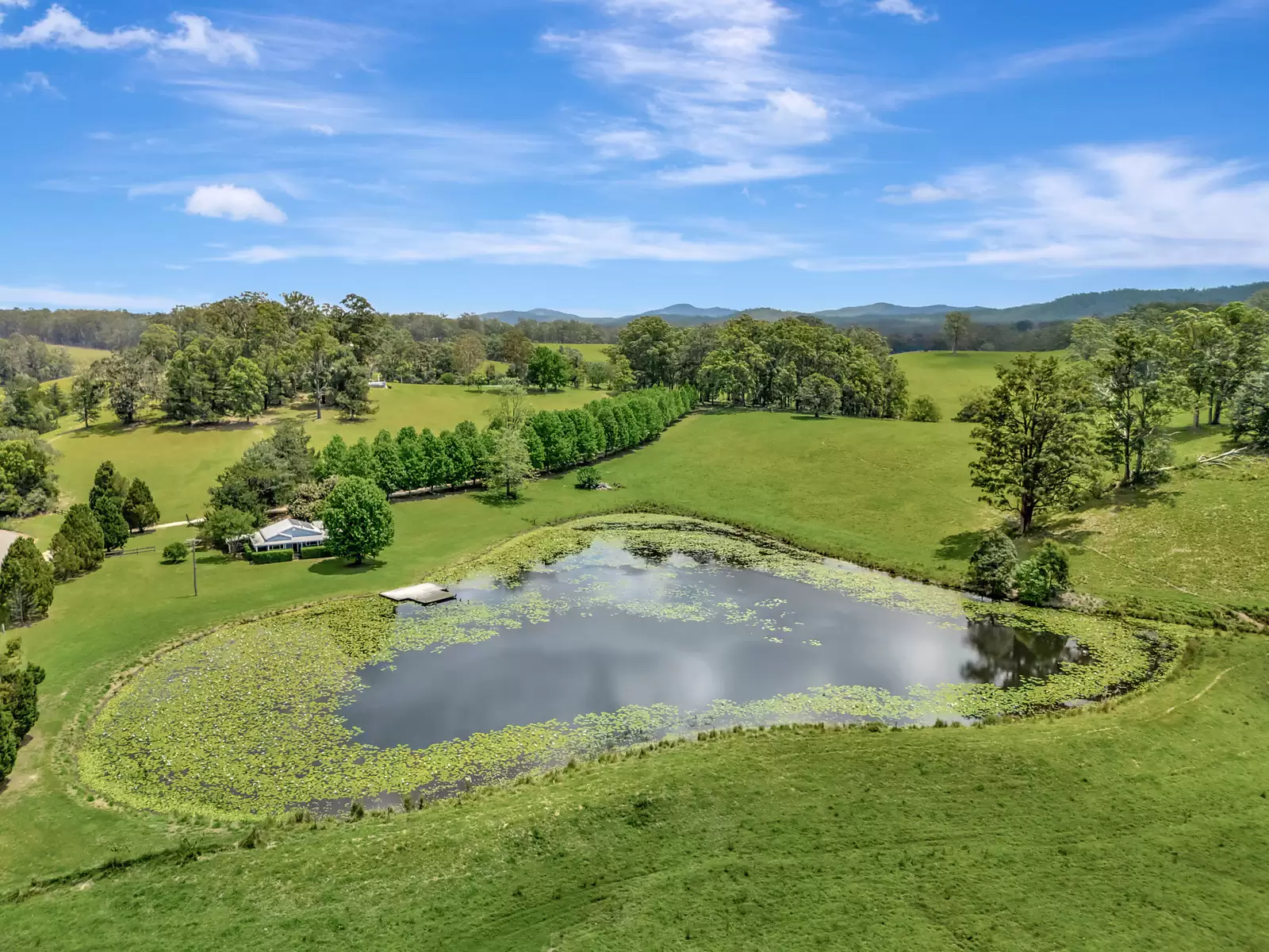 Tamban For Sale by Sydney Sotheby's International Realty - image 15