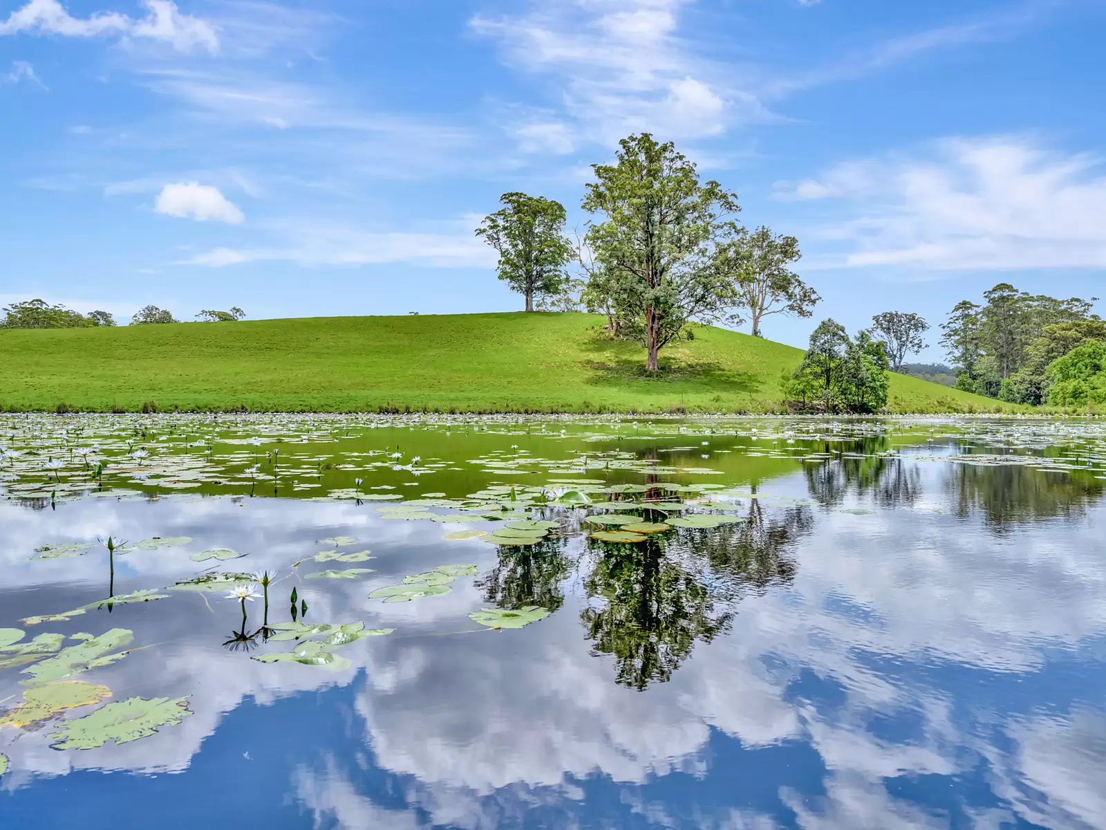 Tamban For Sale by Sydney Sotheby's International Realty - image 21