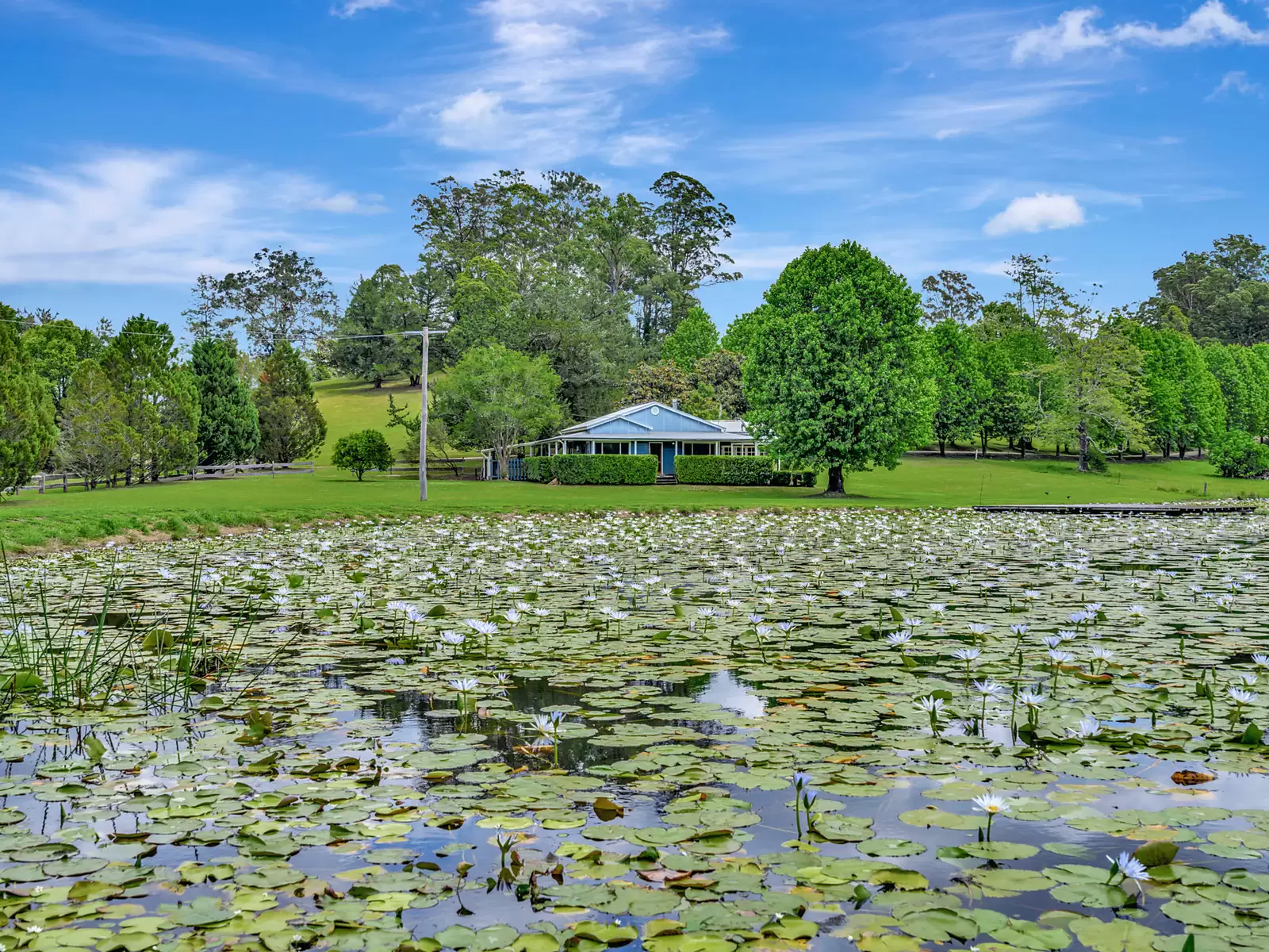 Tamban For Sale by Sydney Sotheby's International Realty - image 14