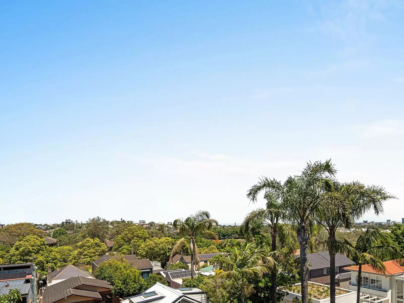 5 Cuthbert Street, Queens Park Sold by Sydney Sotheby's International Realty - image 5