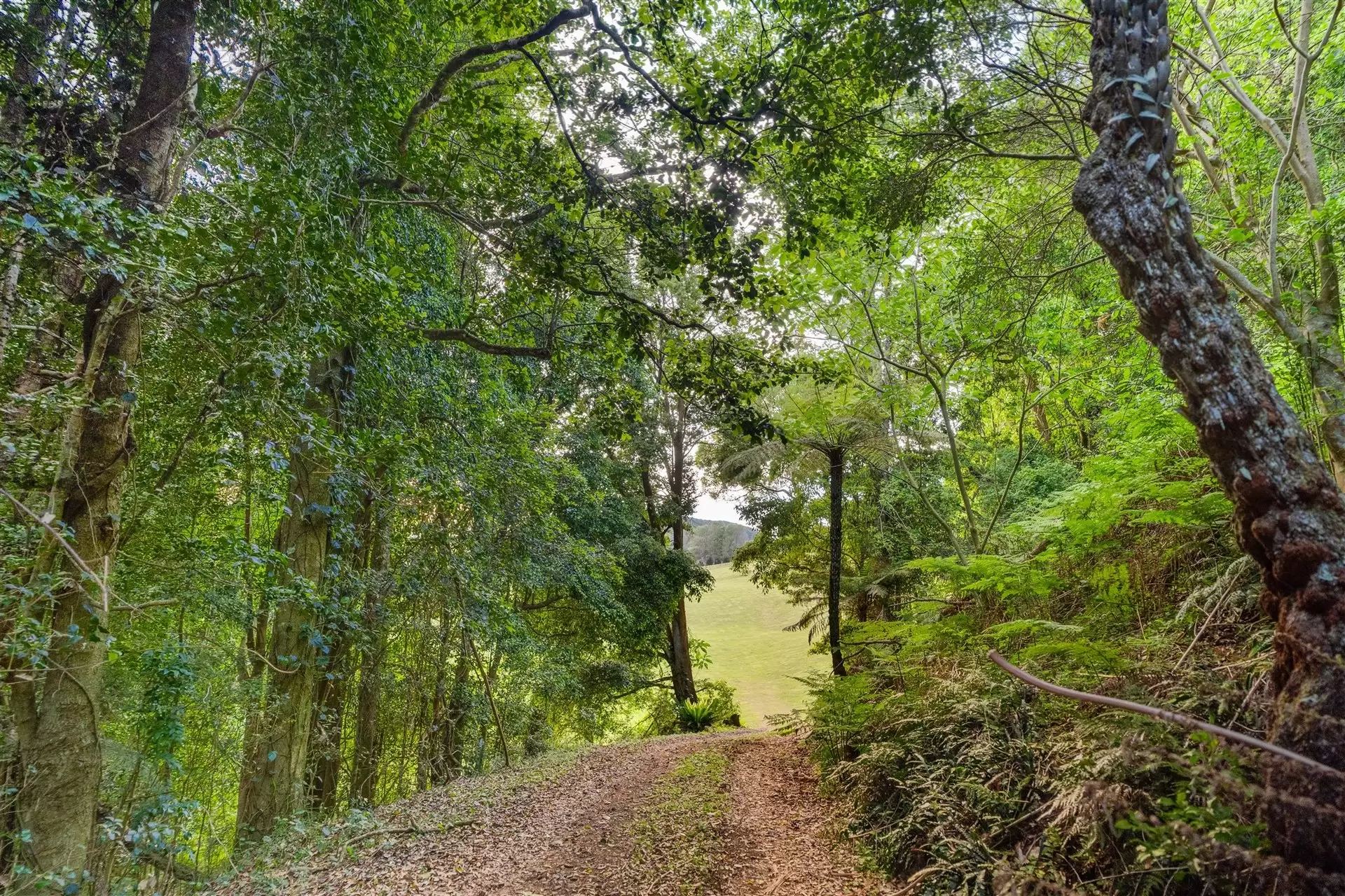 71 Nuninuna Drive, Jamberoo For Sale by Sydney Sotheby's International Realty - image 10