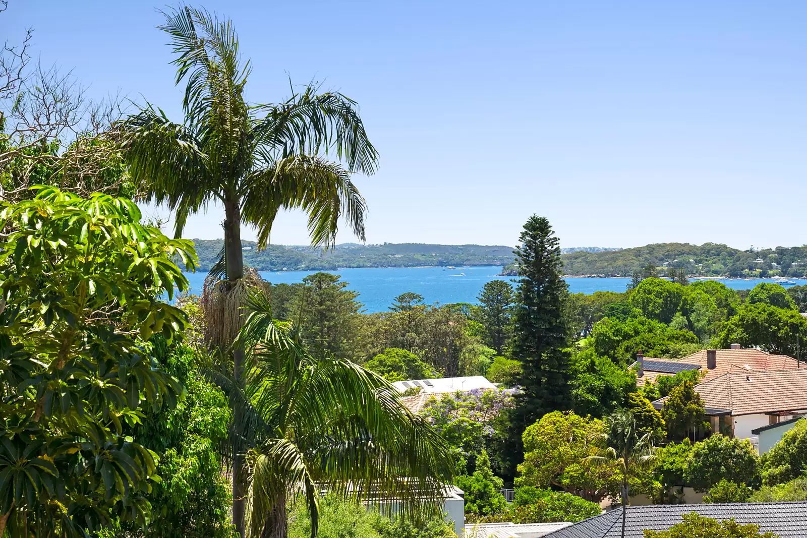 43 Latimer Road, Bellevue Hill Sold by Sydney Sotheby's International Realty - image 3