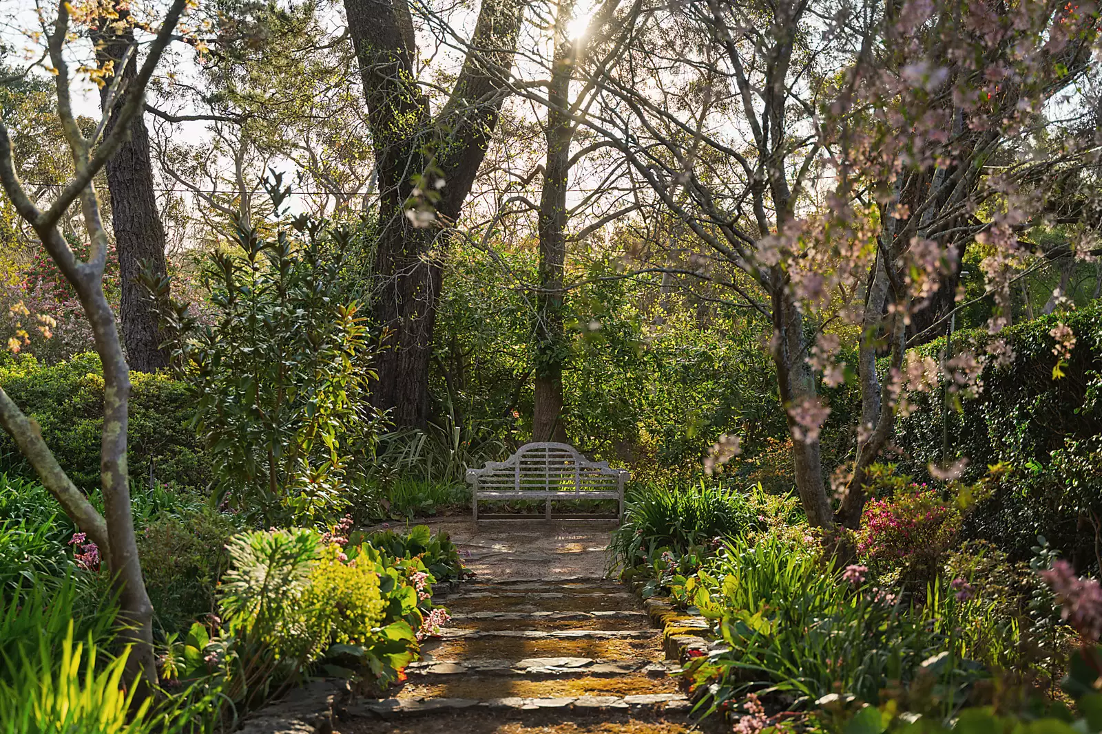 2 Kensett Avenue, Leura For Sale by Sydney Sotheby's International Realty - image 26