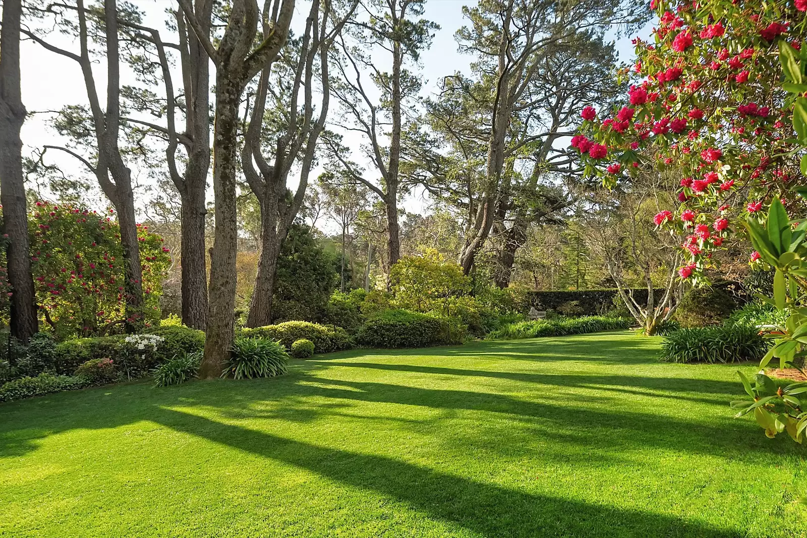 2 Kensett Avenue, Leura For Sale by Sydney Sotheby's International Realty - image 25
