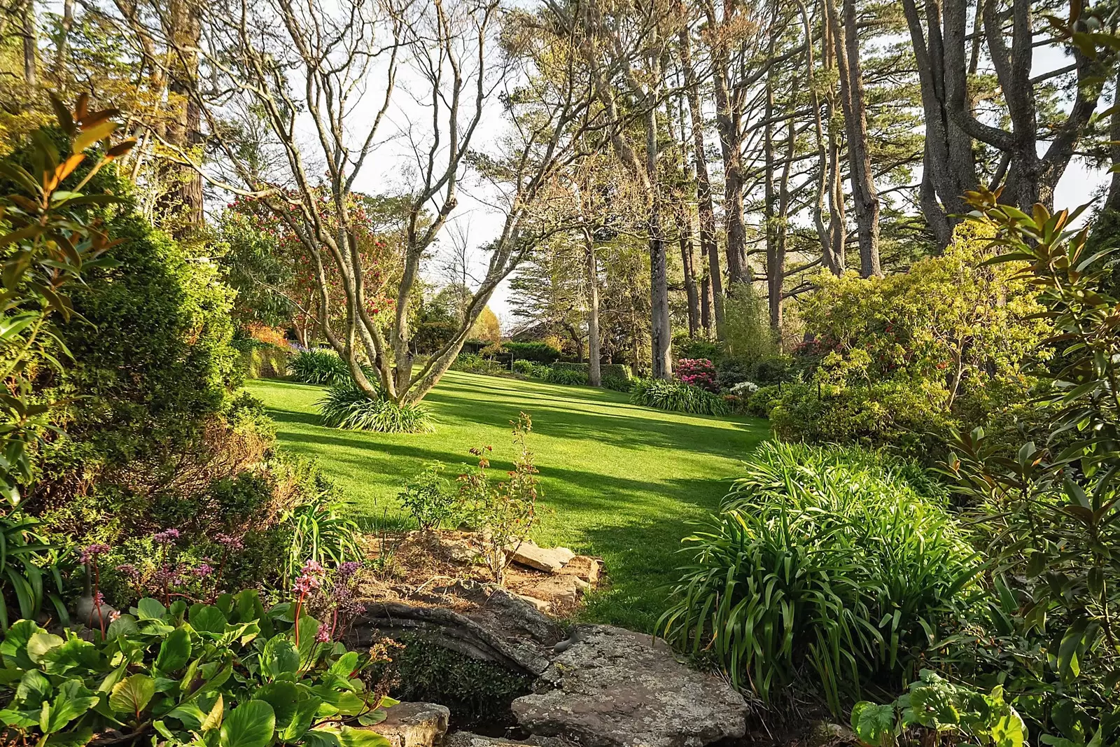 2 Kensett Avenue, Leura For Sale by Sydney Sotheby's International Realty - image 27