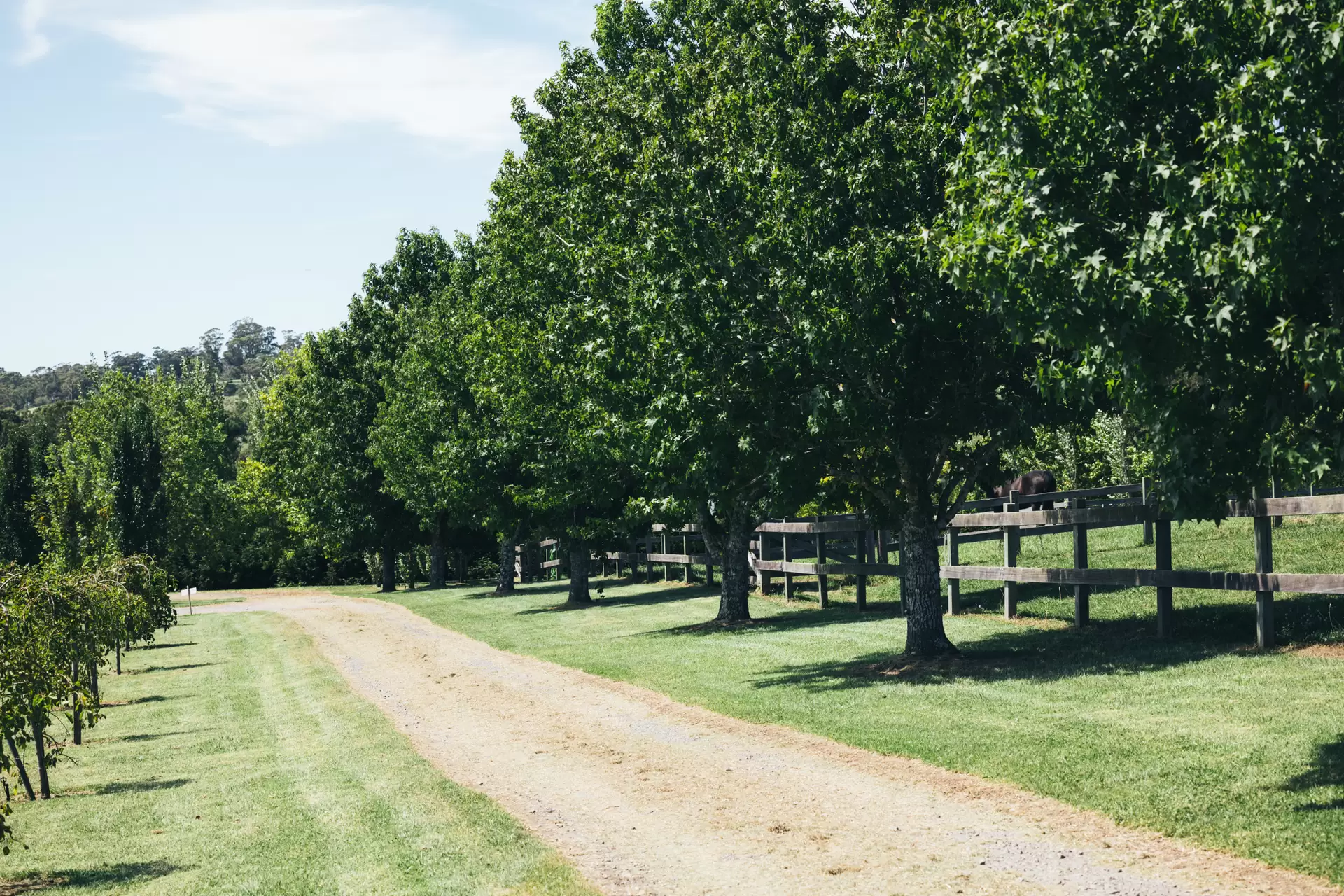360 Tourist Road, Glenquarry Sold by Sydney Sotheby's International Realty - image 22