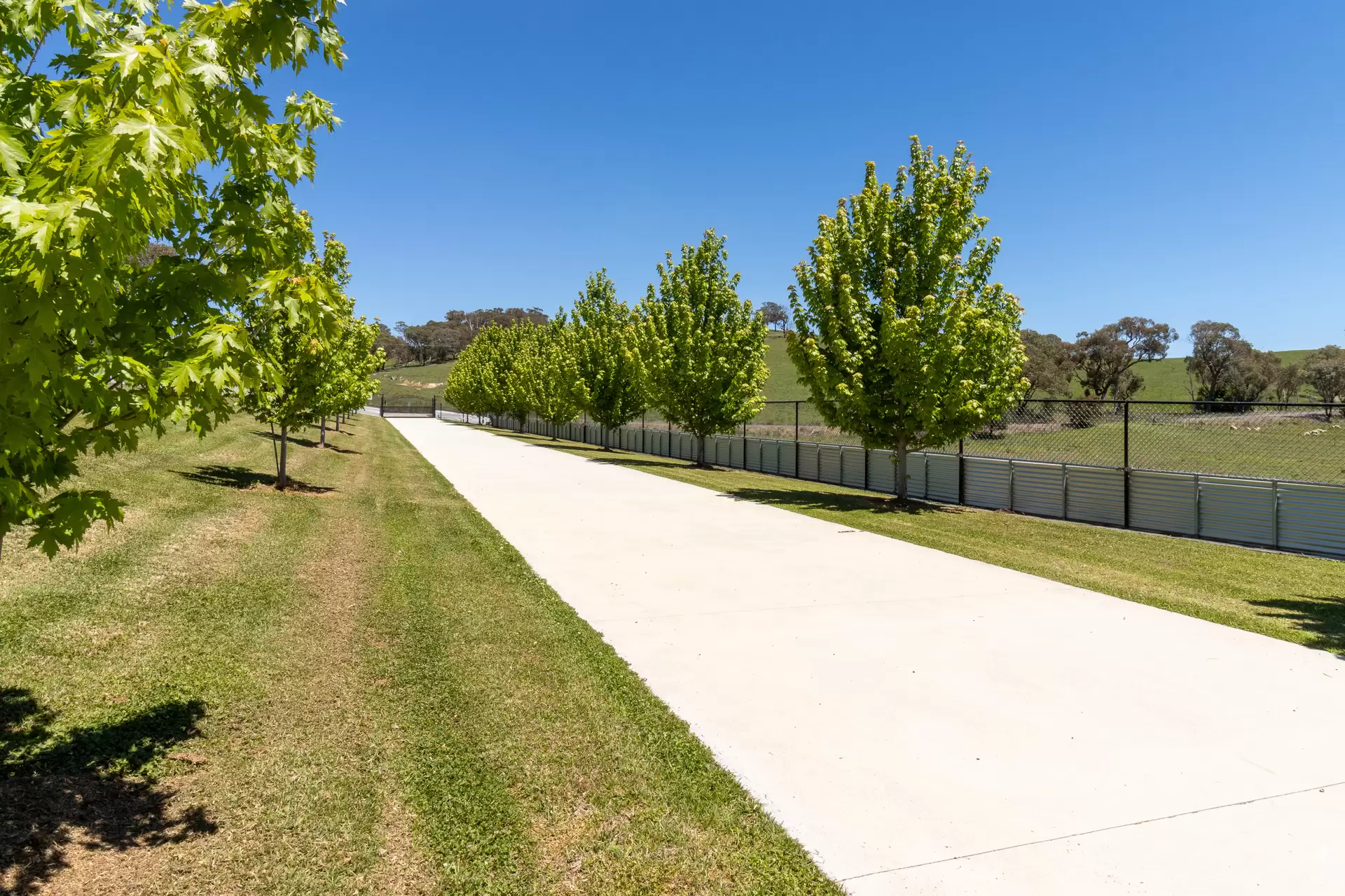 1557 Rockley Road, Fosters Valley For Sale by Sydney Sotheby's International Realty - image 4