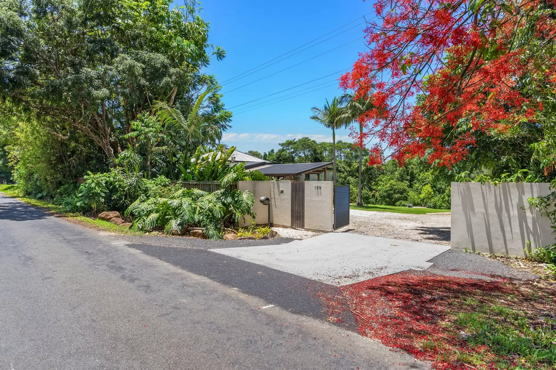 159 Mcgettigans Lane, Ewingsdale Sold by Sydney Sotheby's International Realty - image 5