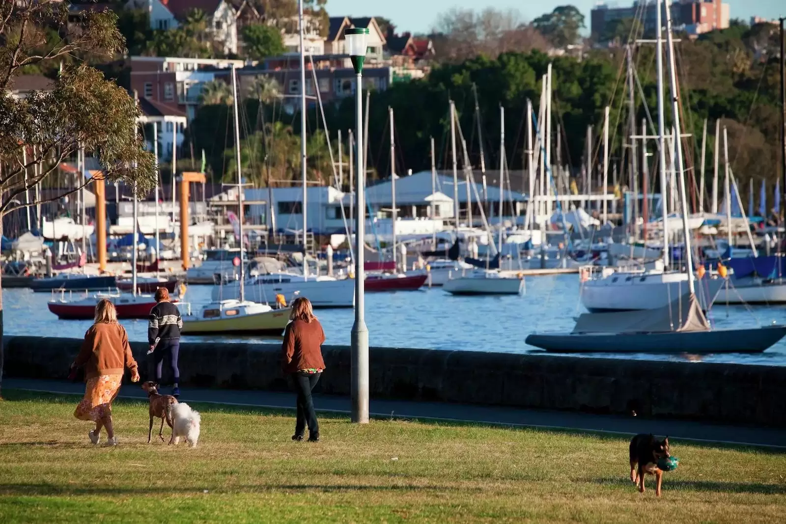 3/16 Yarranabbe Road, Darling Point Leased by Sydney Sotheby's International Realty - image 13