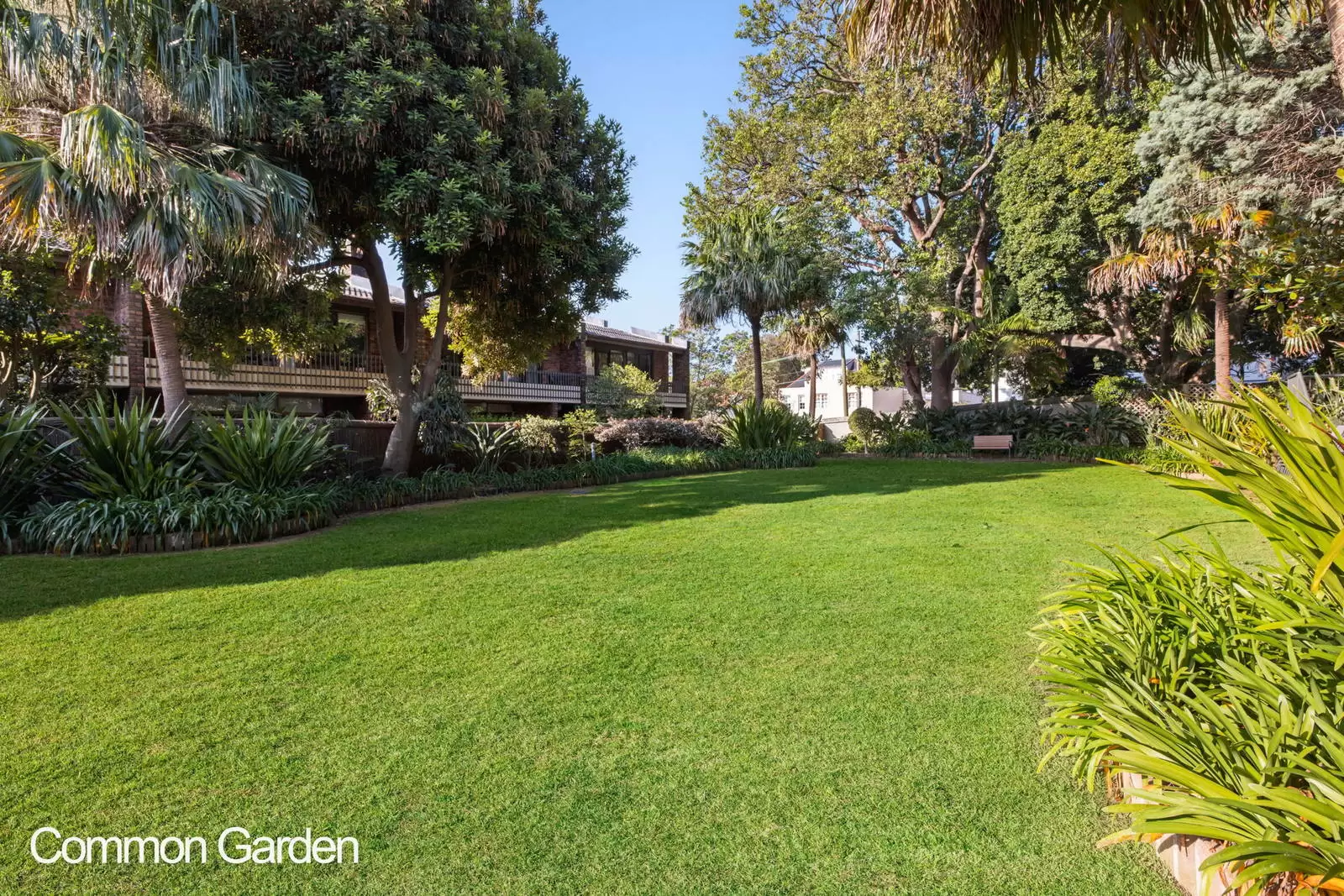 10/118 Wallis Street, Woollahra Leased by Sydney Sotheby's International Realty - image 6