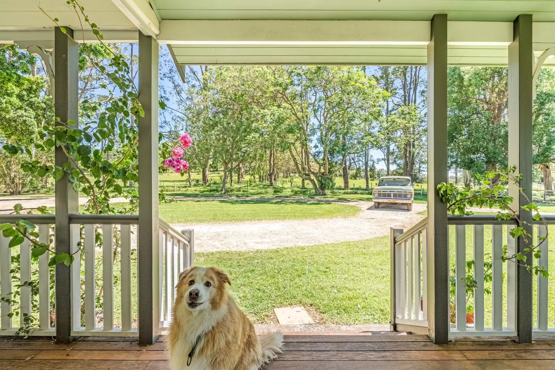 836 Fernleigh Road, Brooklet Sold by Sydney Sotheby's International Realty - image 6