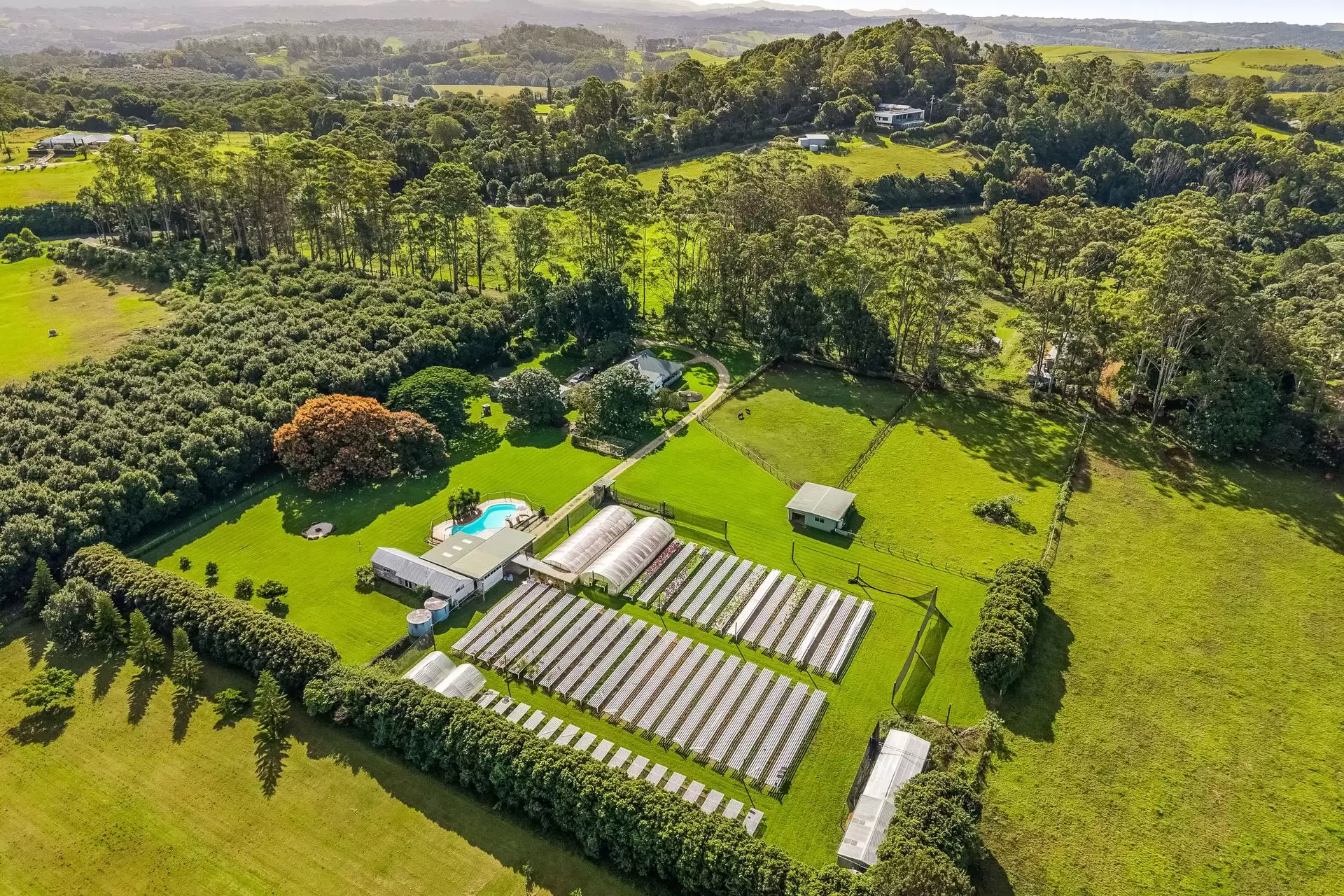 836 Fernleigh Road, Brooklet Sold by Sydney Sotheby's International Realty - image 33