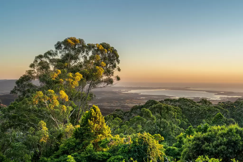 240 Lees Road, Robertson For Sale by Sydney Sotheby's International Realty