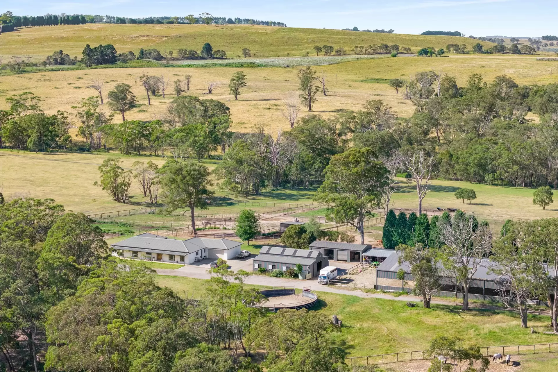 77 Joadja Crescent, Woodlands Sold by Sydney Sotheby's International Realty - image 2