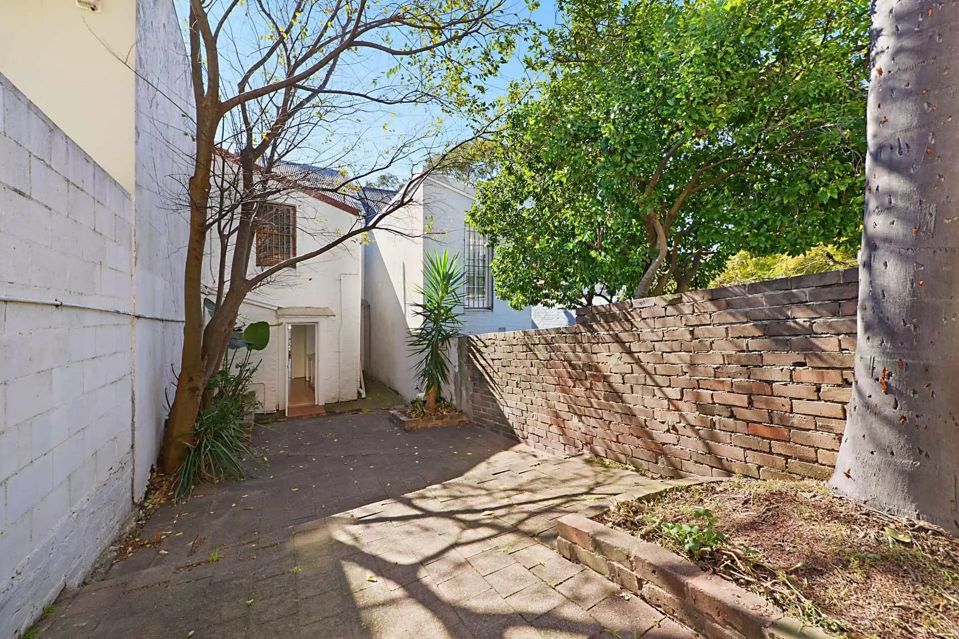 17 Olive Street, Paddington Sold by Sydney Sotheby's International Realty - image 5