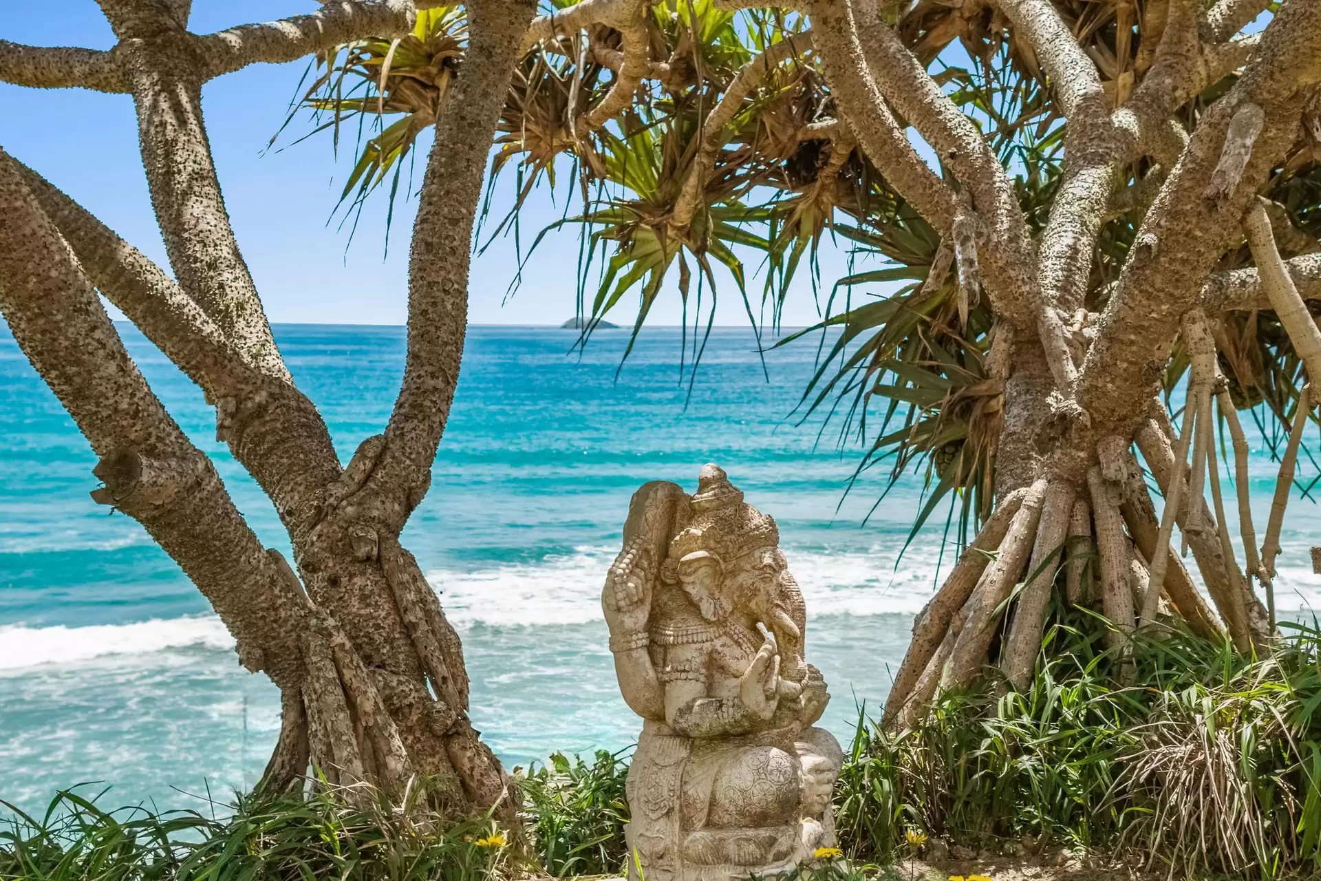 6B Childe Street, Byron Bay Sold by Sydney Sotheby's International Realty - image 21