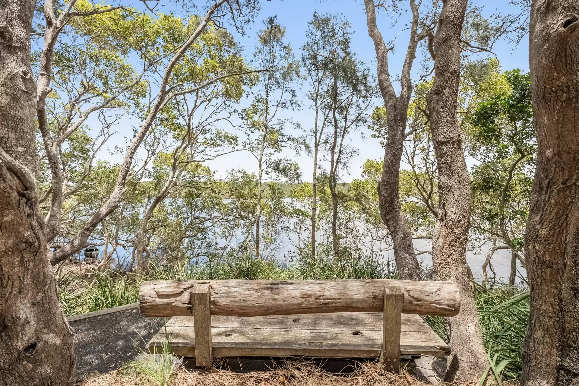 6B Childe Street, Byron Bay Sold by Sydney Sotheby's International Realty - image 18