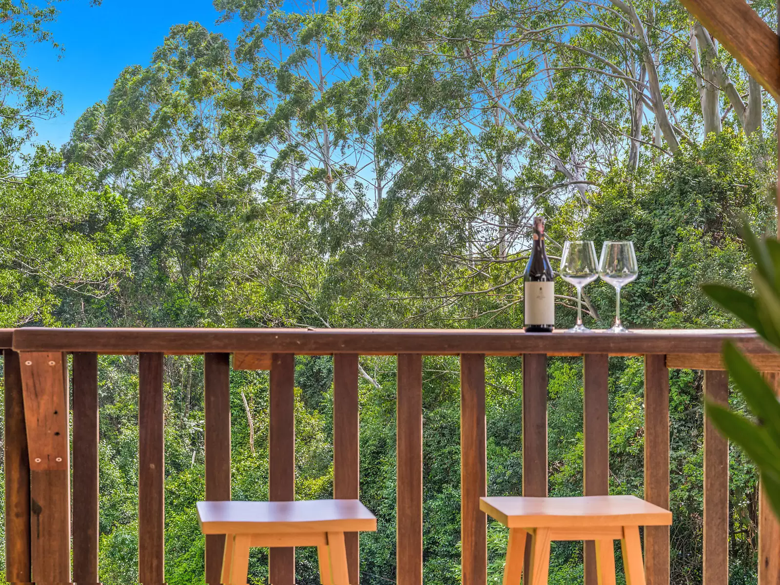 37 Nelson Chase, Tuckombil Sold by Sydney Sotheby's International Realty - image 6