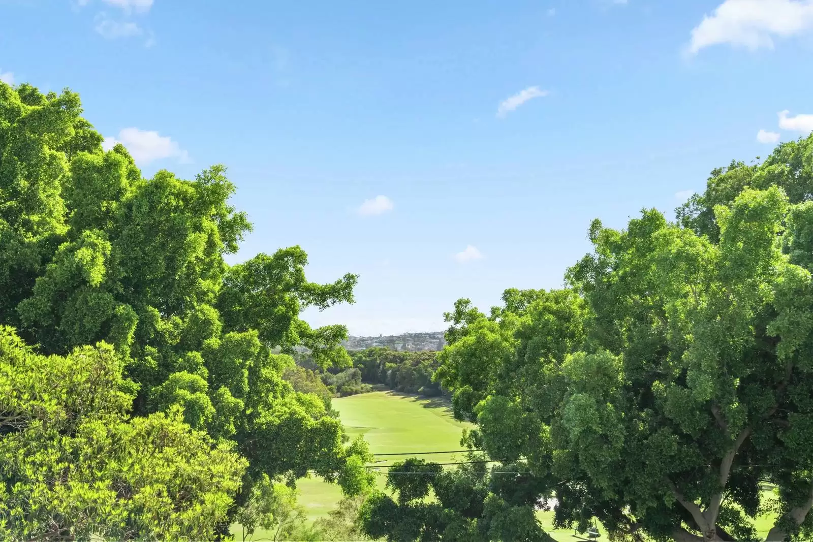 3/281 O'Sullivan Road, Bellevue Hill Leased by Sydney Sotheby's International Realty - image 8