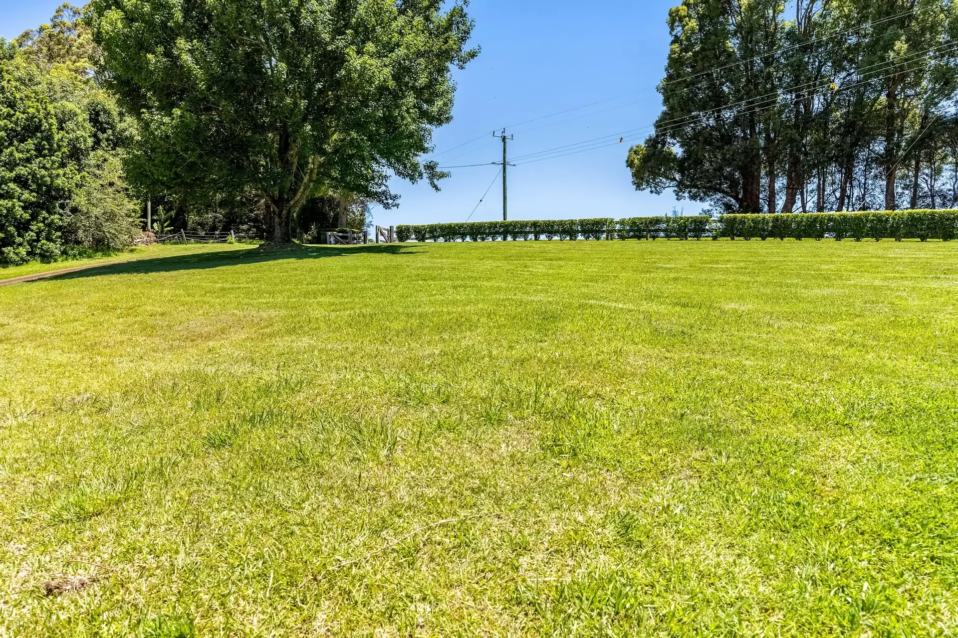 866 Friday Hut Road, Brooklet For Sale by Sydney Sotheby's International Realty - image 16
