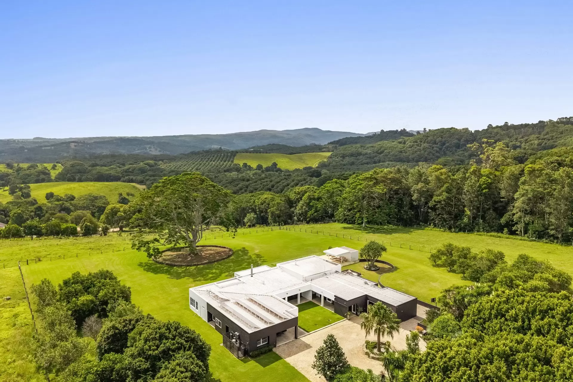 28 Blackbean Lane, Federal For Sale by Sydney Sotheby's International Realty - image 29
