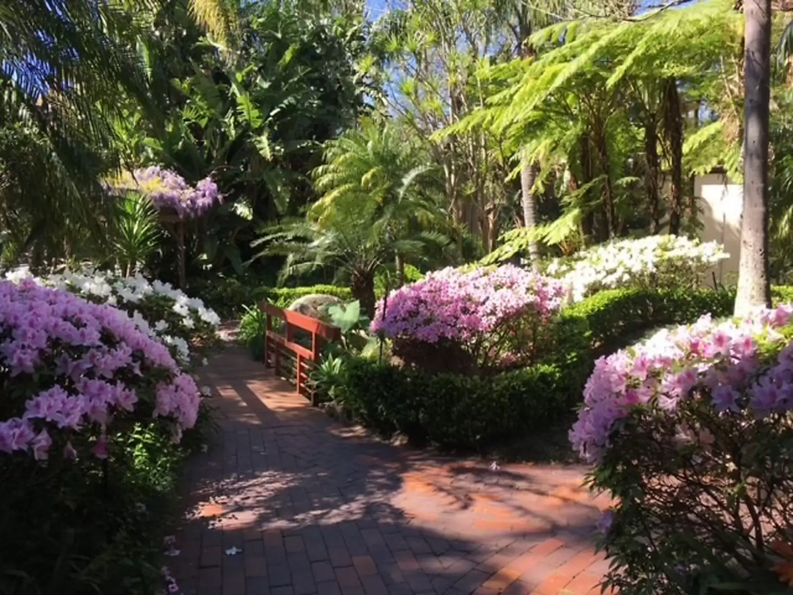 6, 170 Ocean Street, Edgecliff Sold by Sydney Sotheby's International Realty - image 20